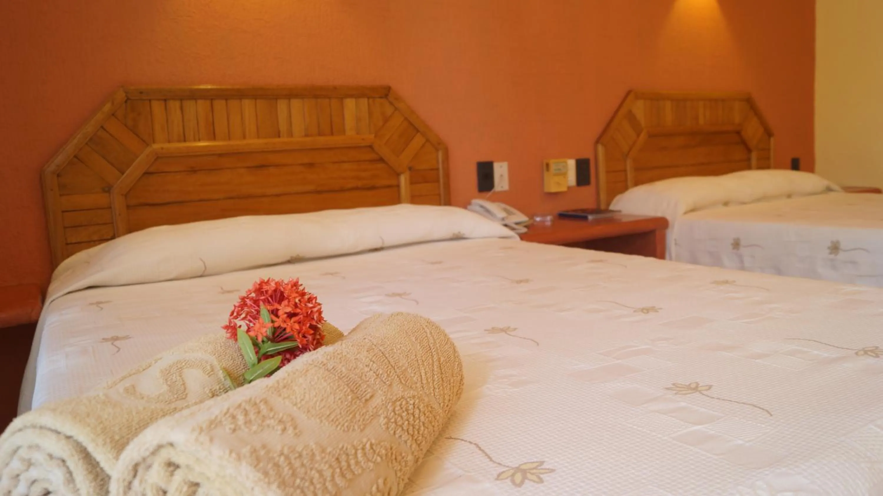 Photo of the whole room in Surf Olas Altas