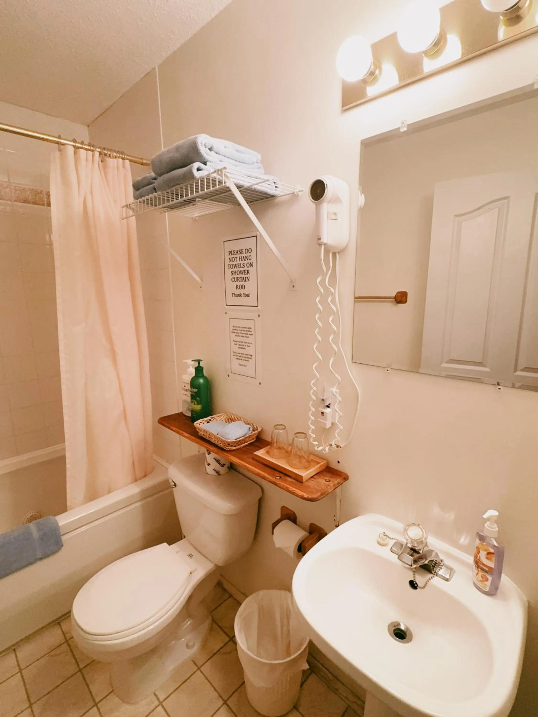 Toilet in Alpine Meadows Lodge