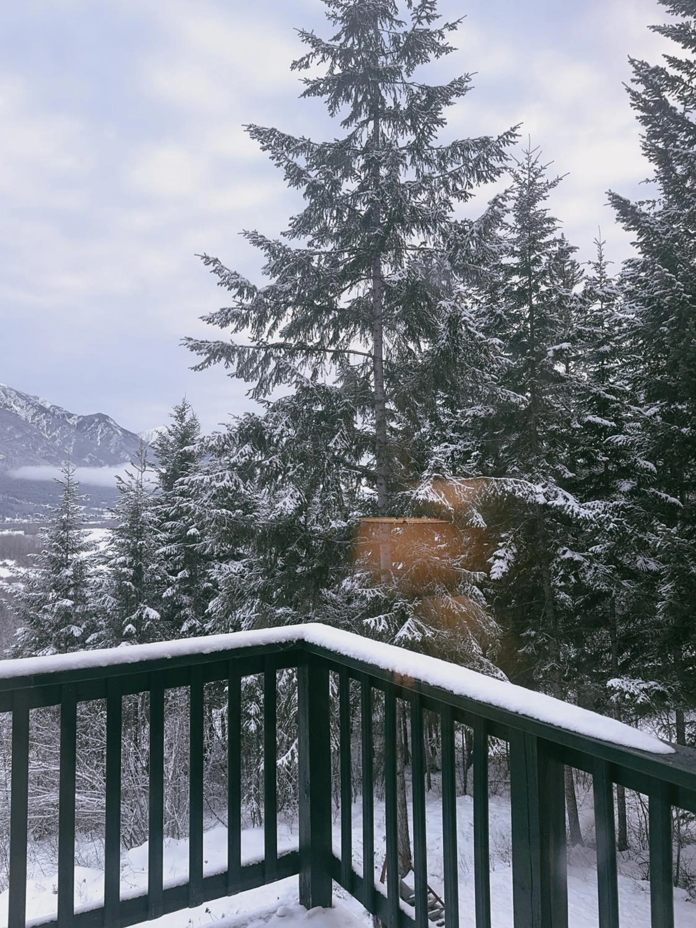 Winter in Alpine Meadows Lodge