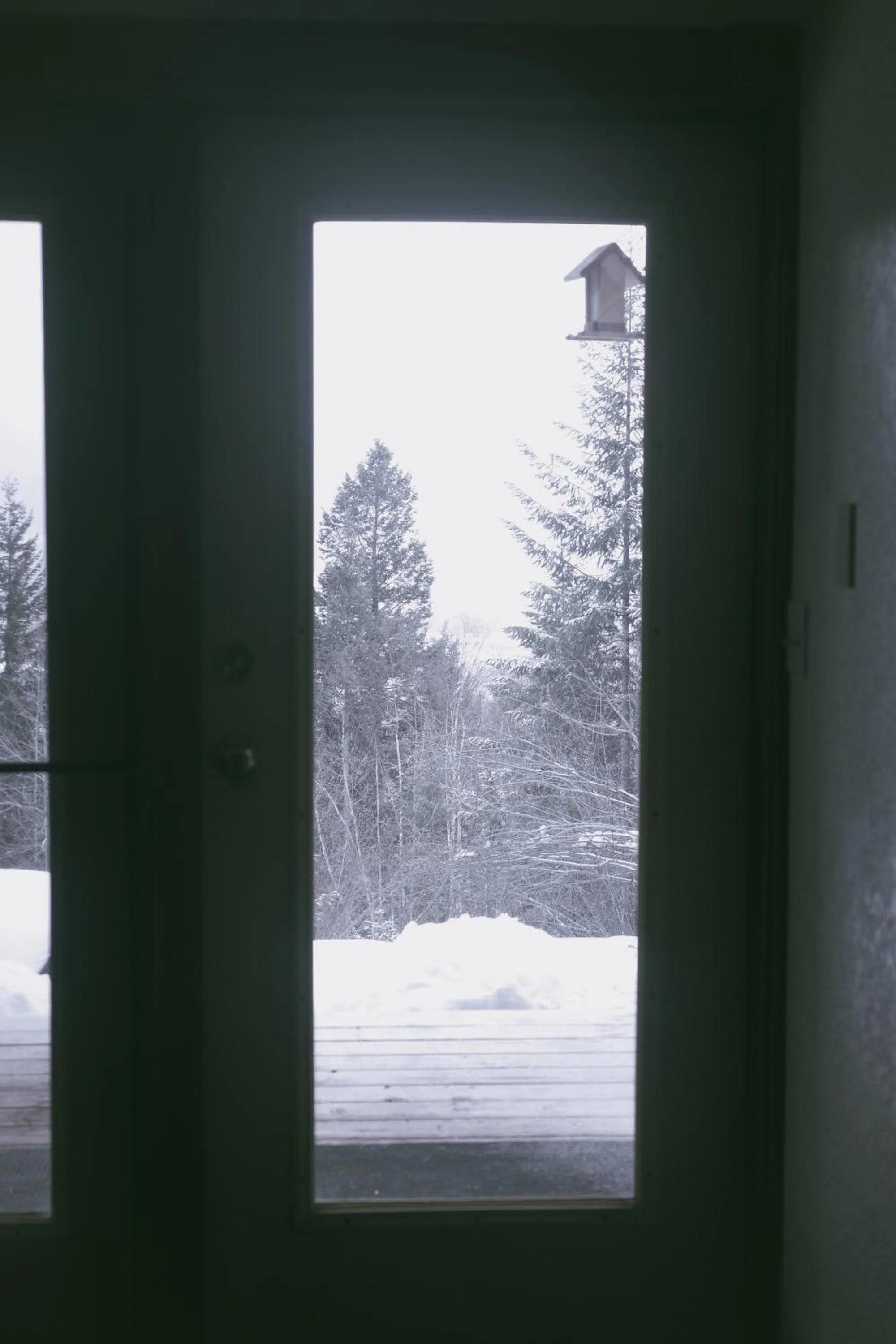 Winter in Alpine Meadows Lodge