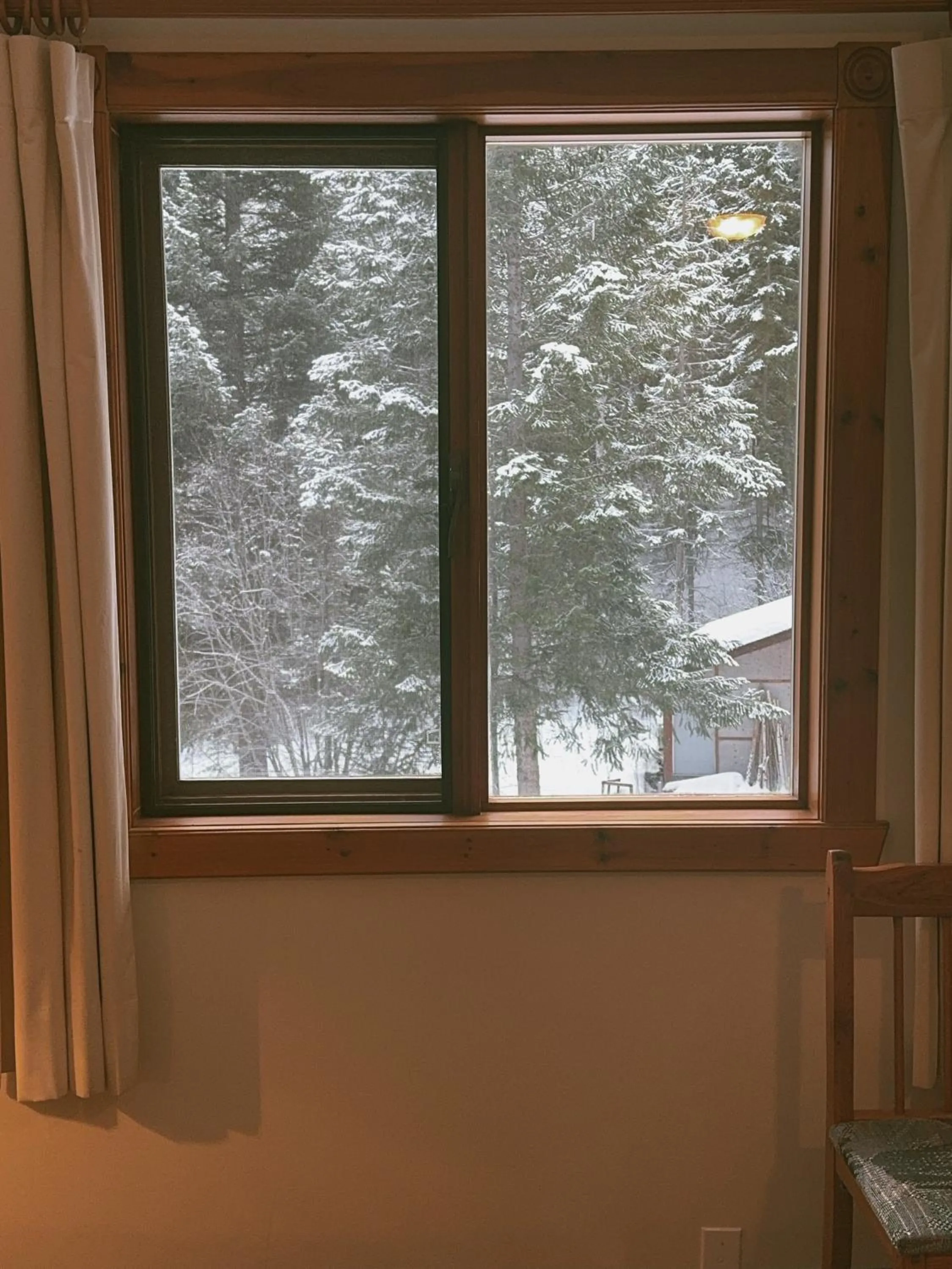 View (from property/room) in Alpine Meadows Lodge