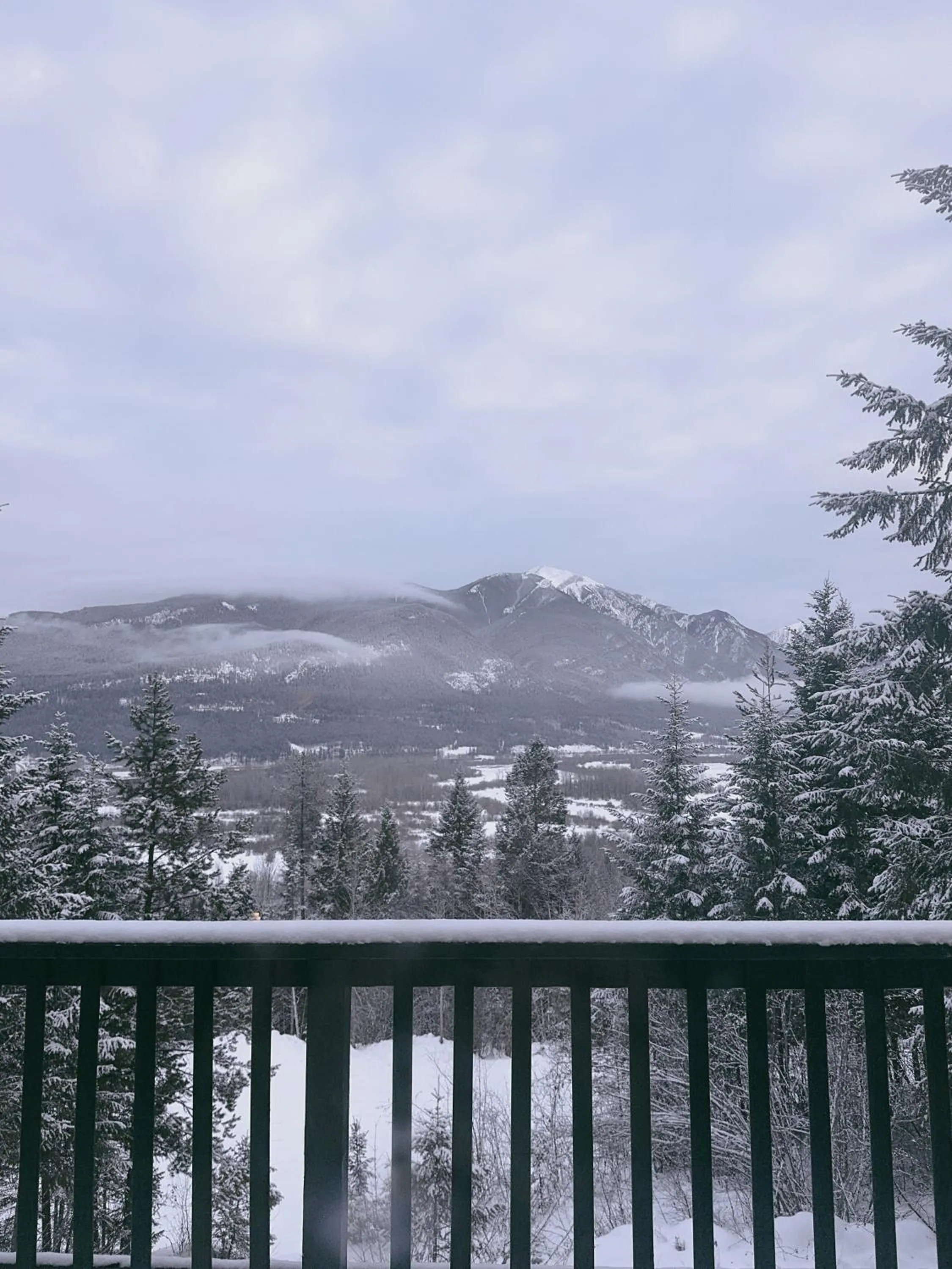 Winter in Alpine Meadows Lodge