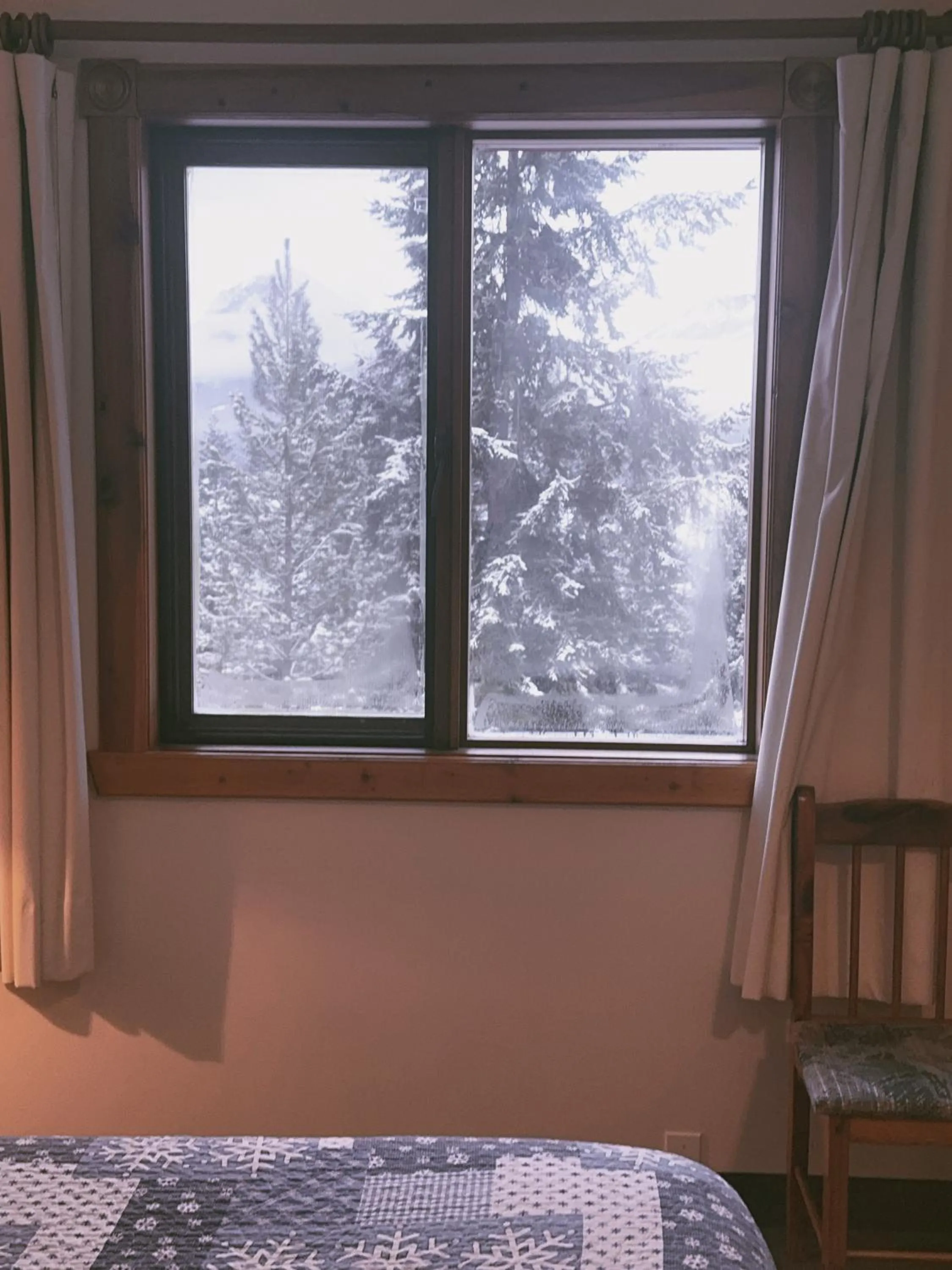 Natural landscape, Bed in Alpine Meadows Lodge