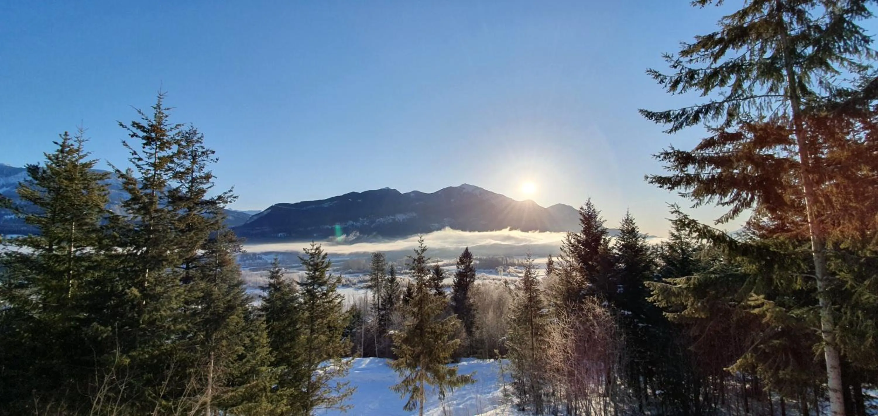 View (from property/room) in Alpine Meadows Lodge