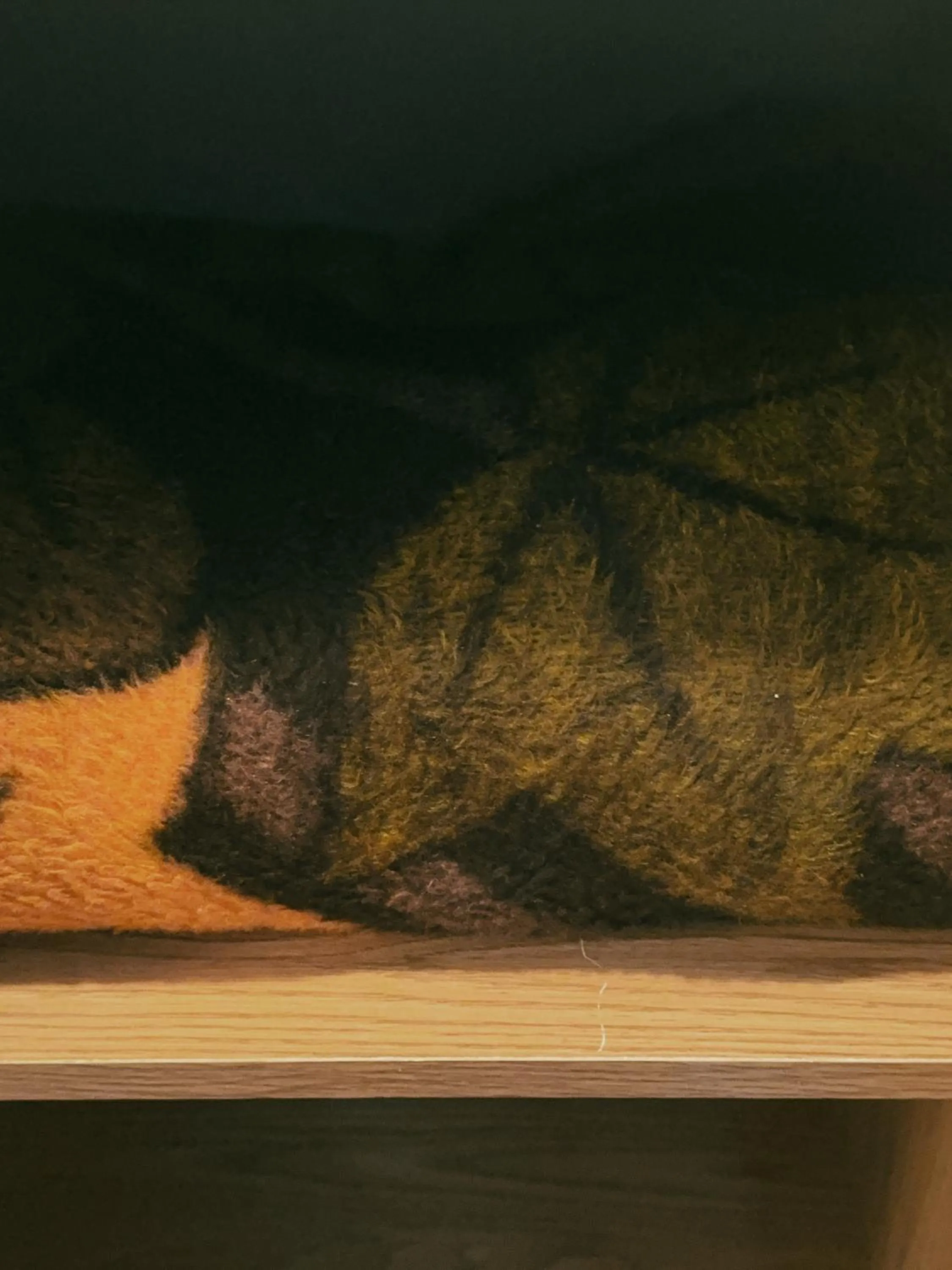 wardrobe in Alpine Meadows Lodge