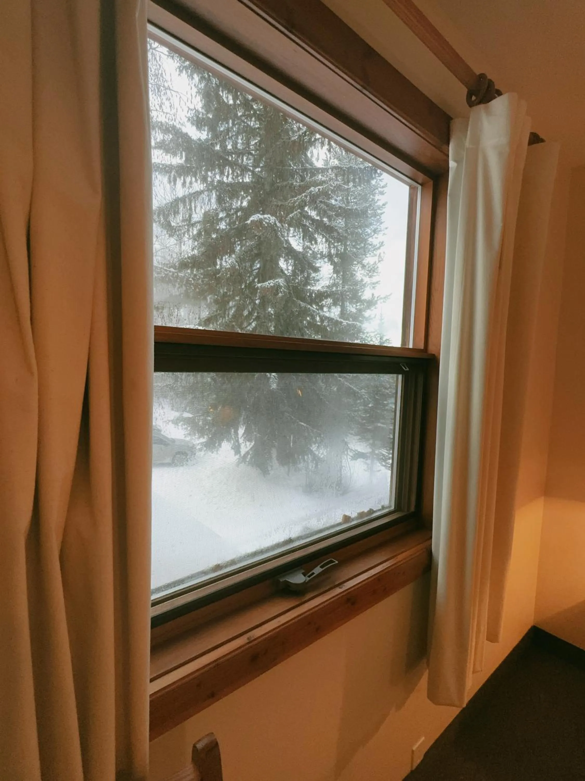 View (from property/room) in Alpine Meadows Lodge