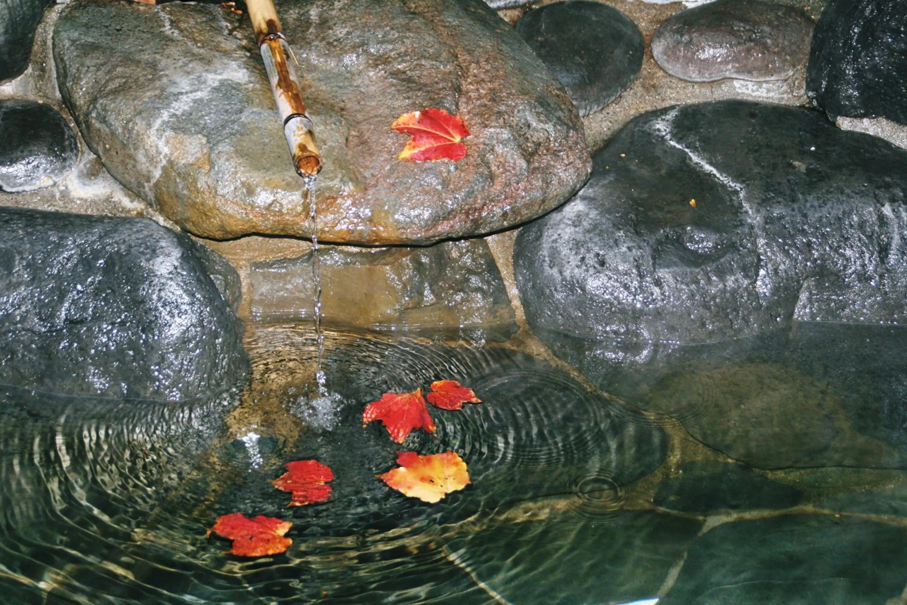 Hot Spring Bath in Pension Totem Pole