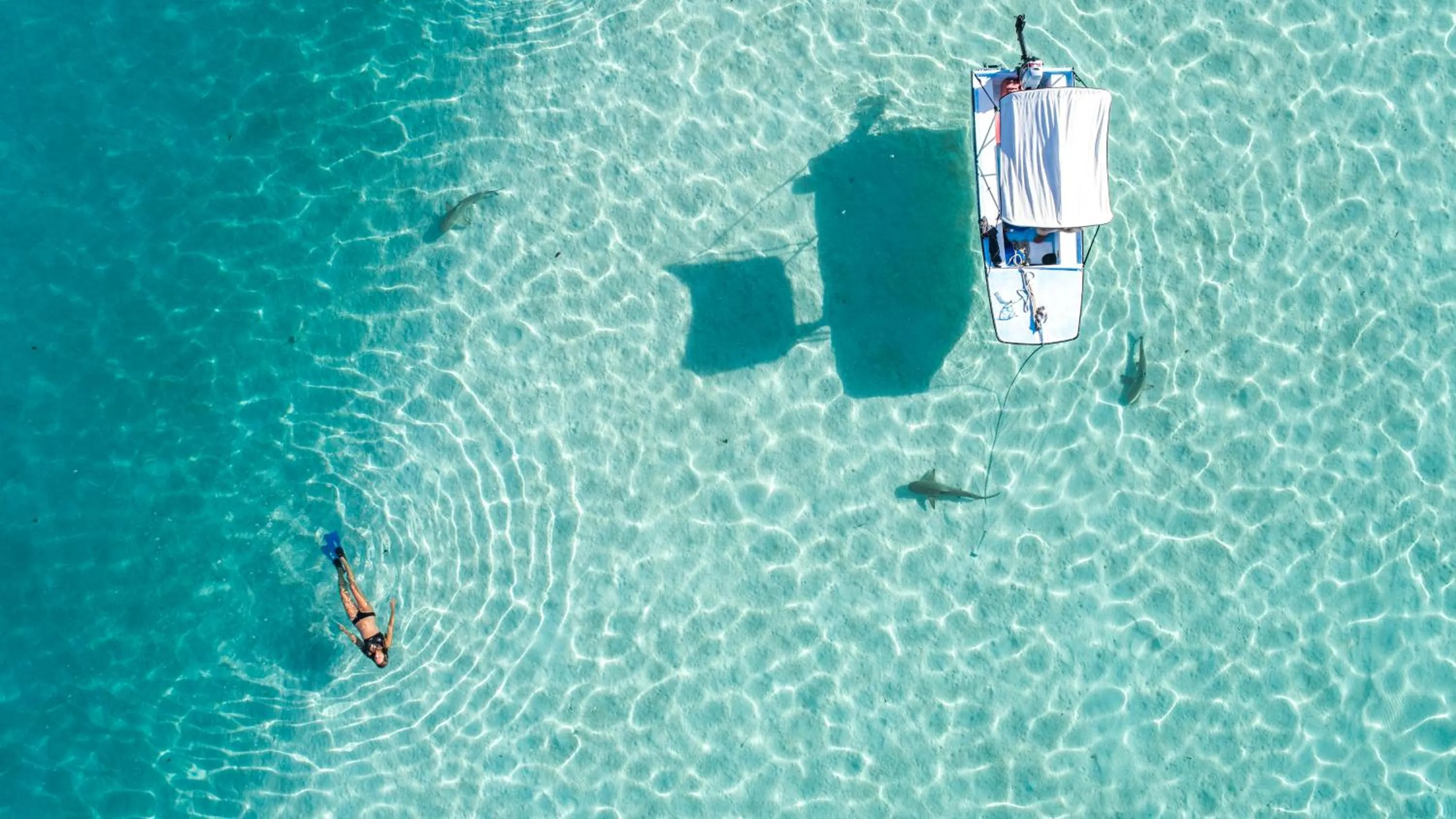 Snorkeling in Robinson's Cove Villas