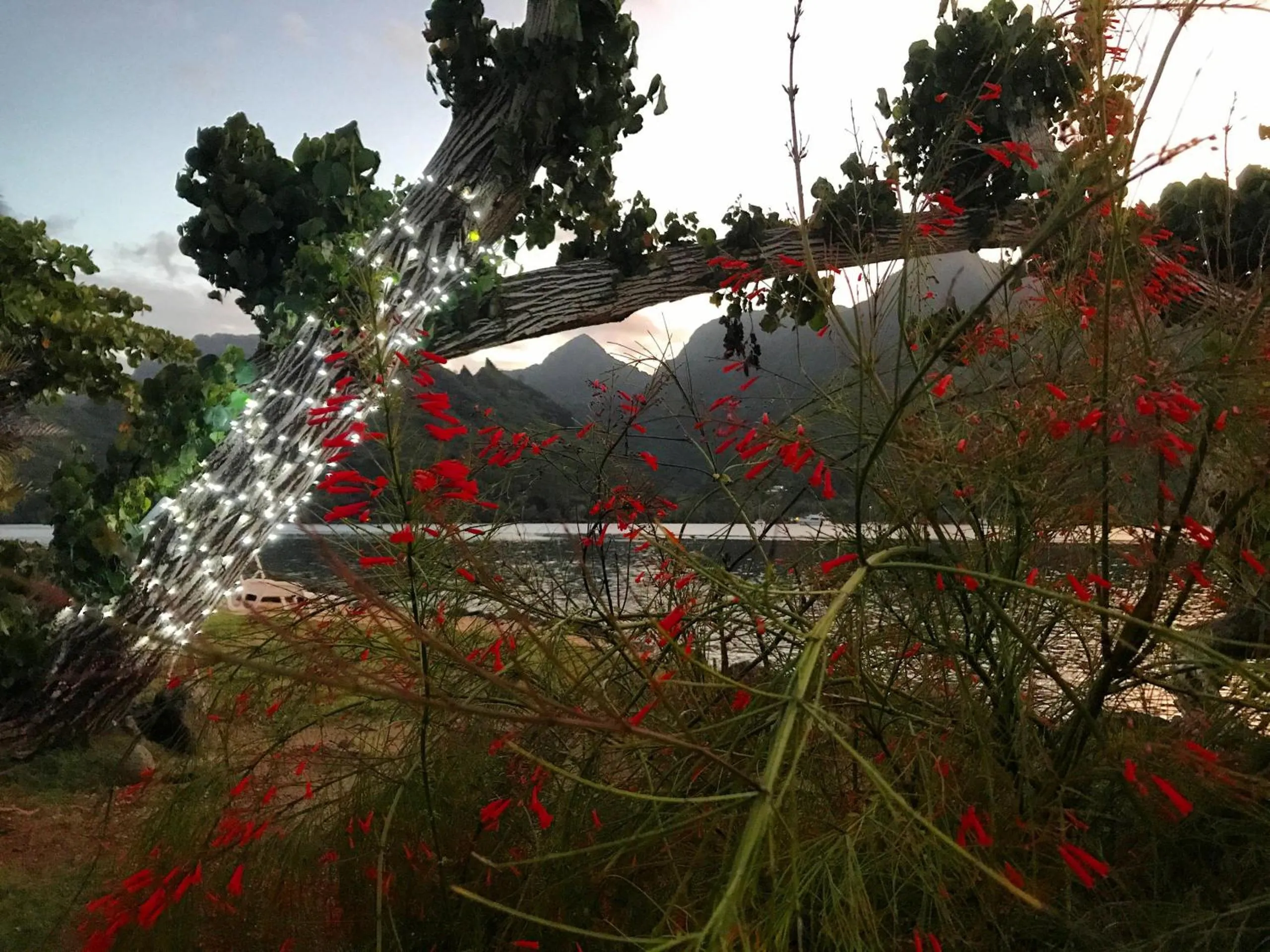 Off site in Robinson's Cove Villas