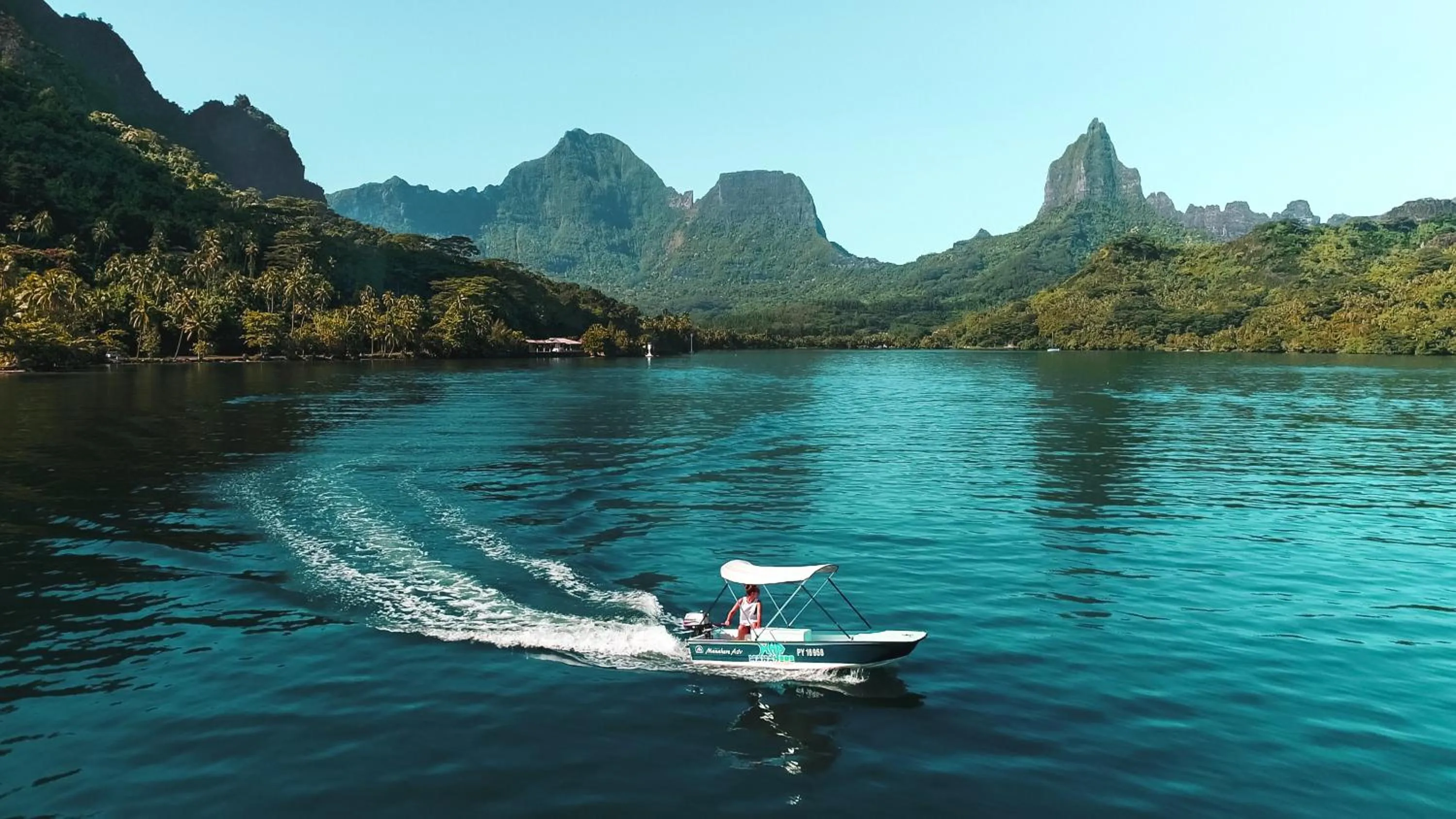 Natural landscape in Robinson's Cove Villas