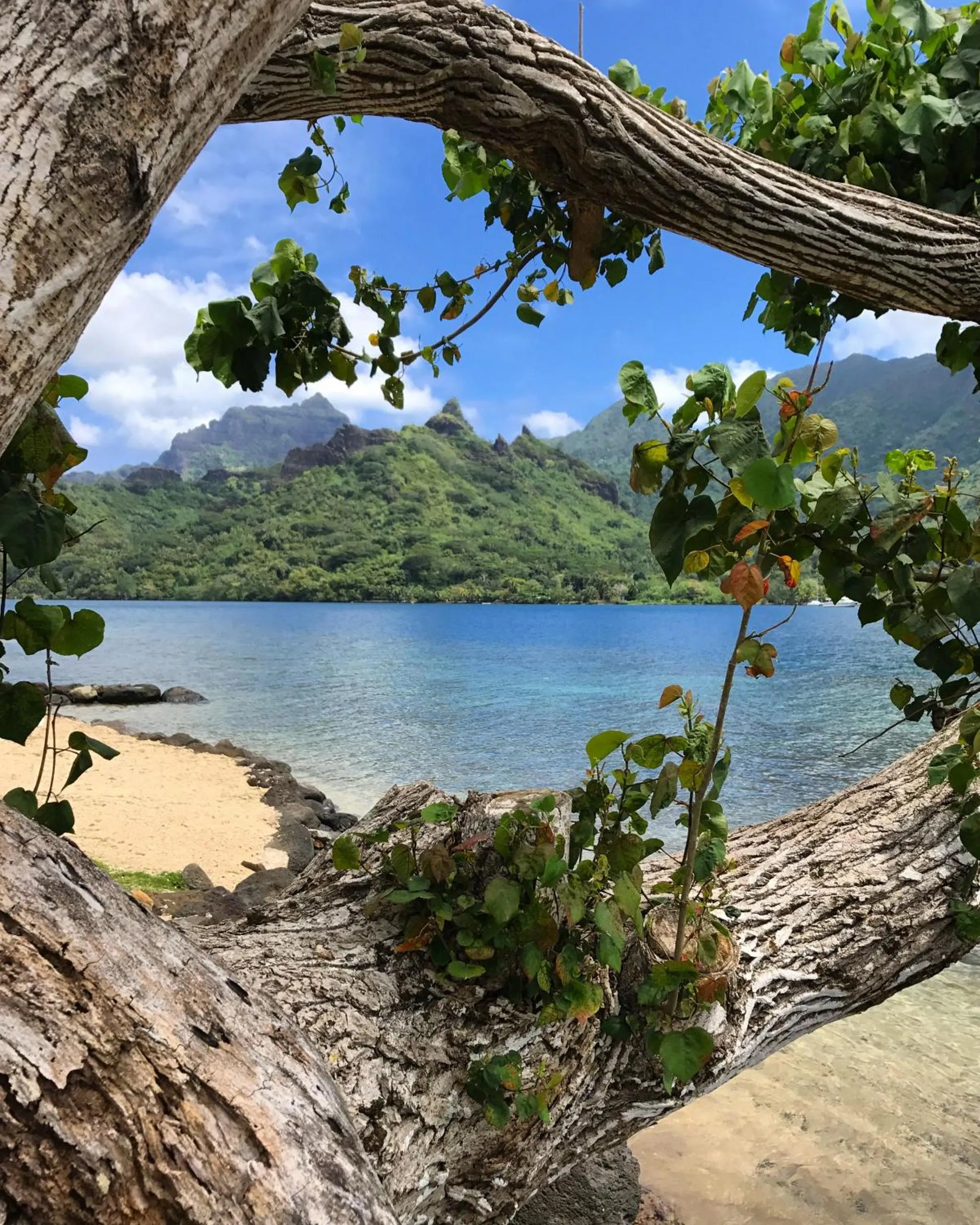 View (from property/room) in Robinson's Cove Villas