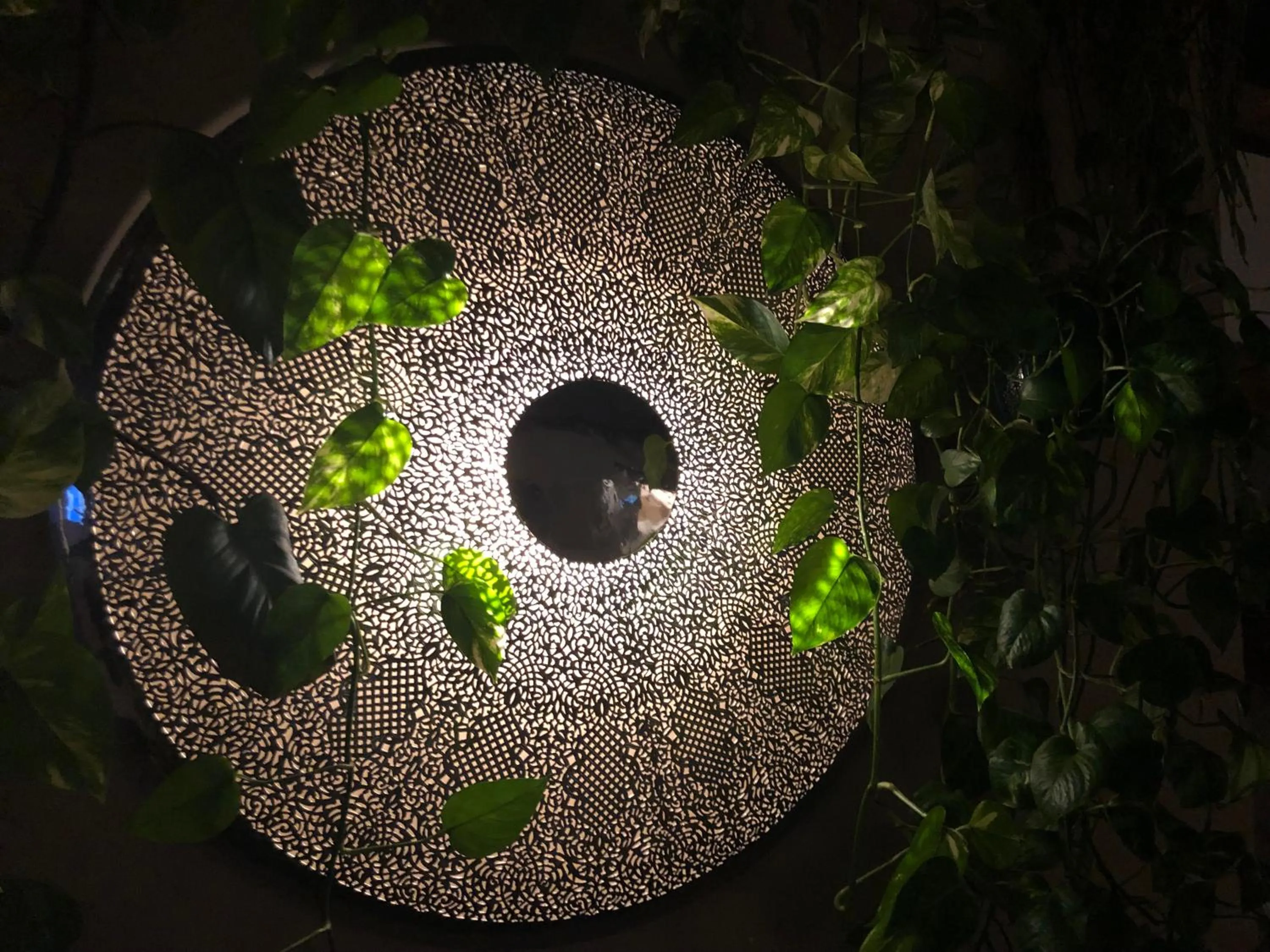 Property building in Le Paon Bleu Annecy Poisy