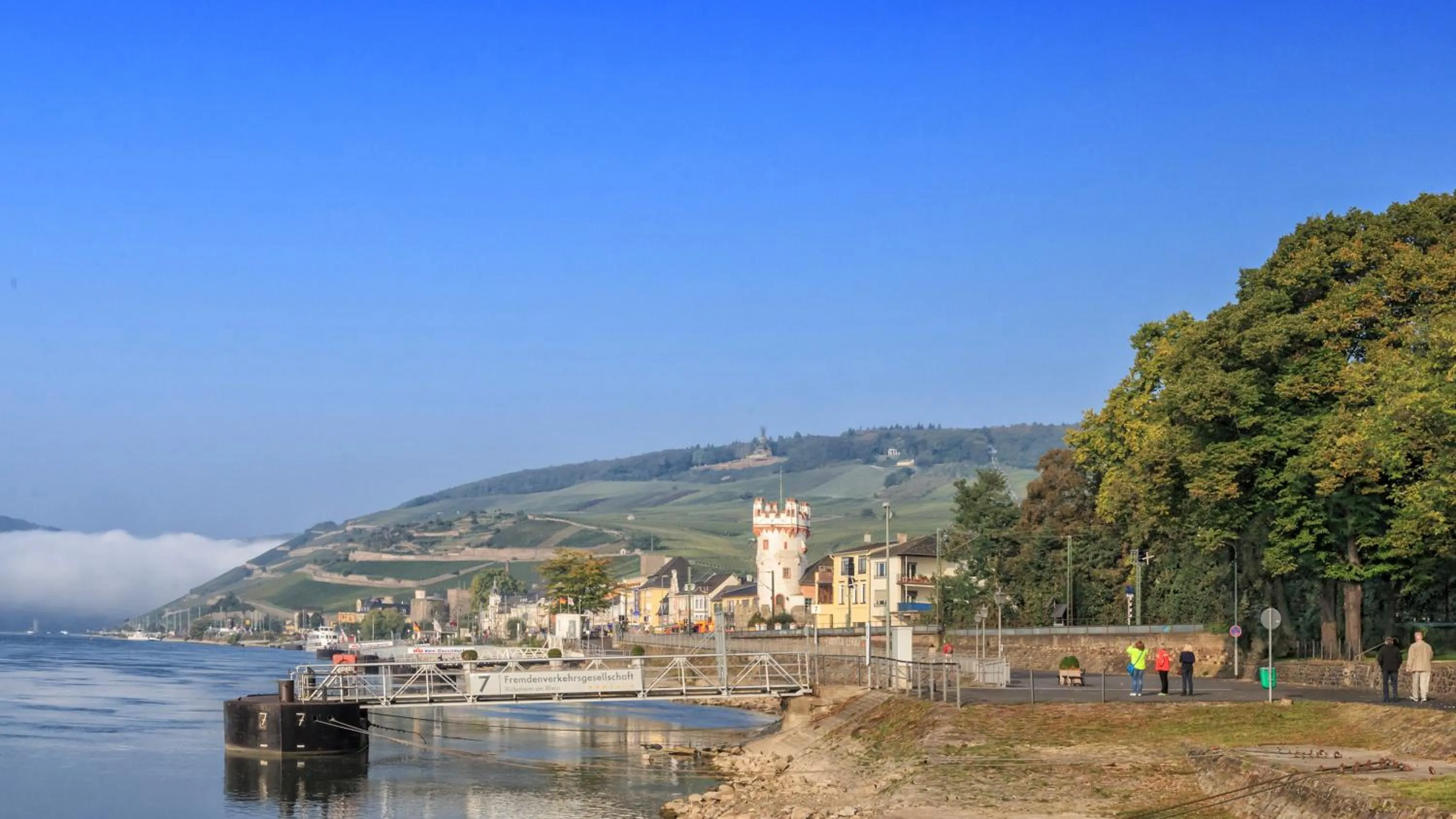 Natural landscape in Hotel Rose