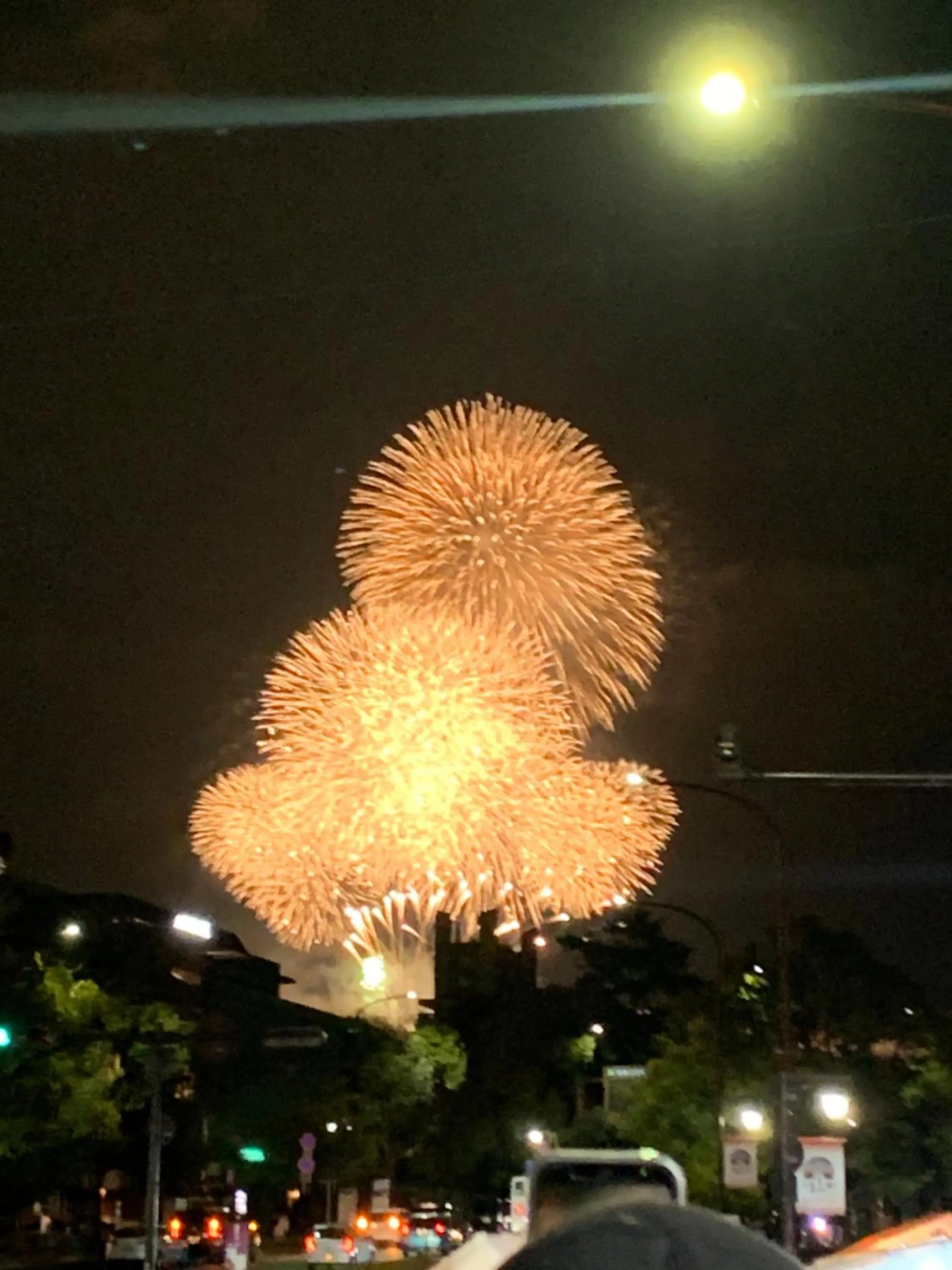 Night in Ryokan Kousen