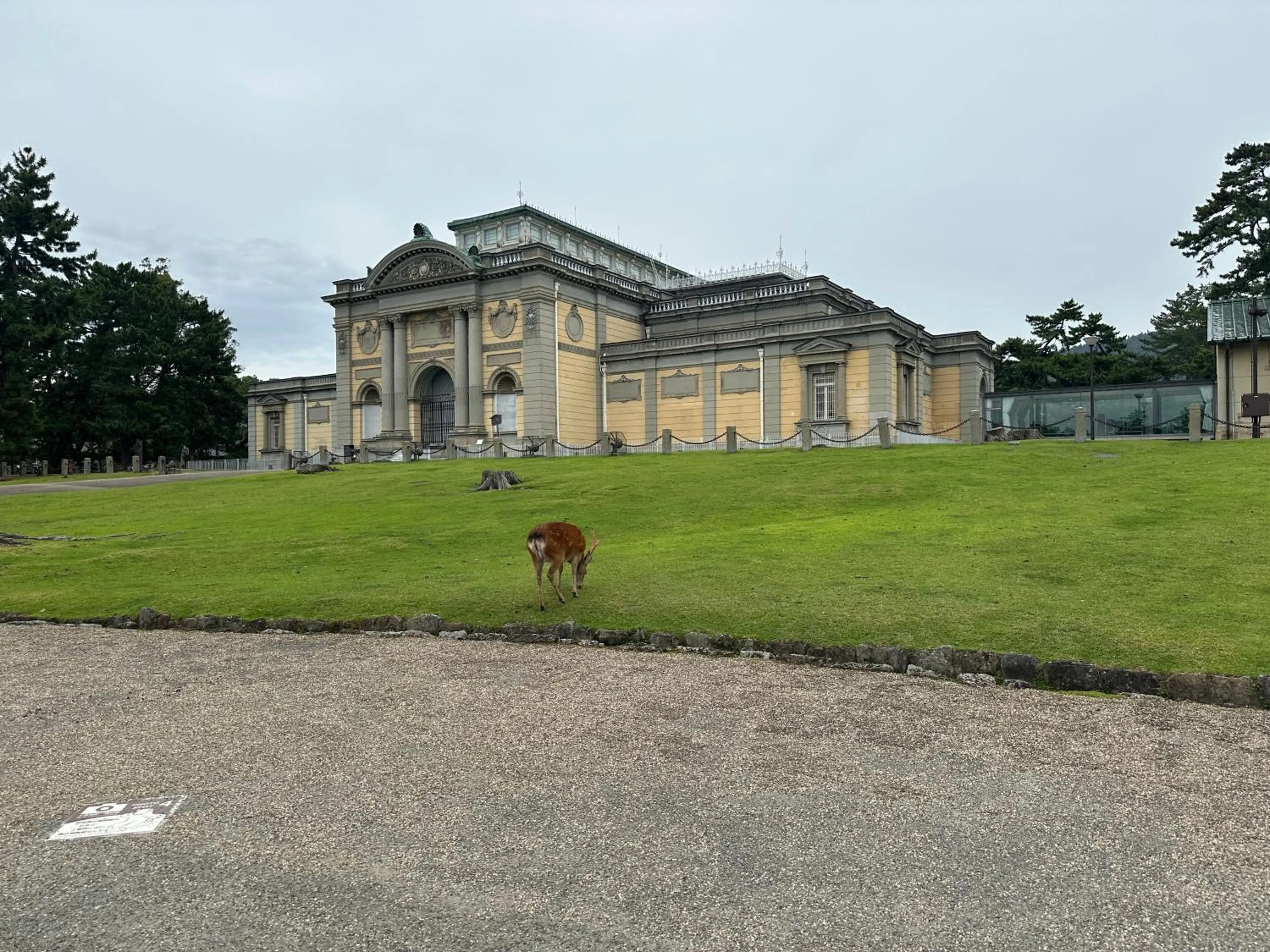 Natural landscape in Ryokan Kousen