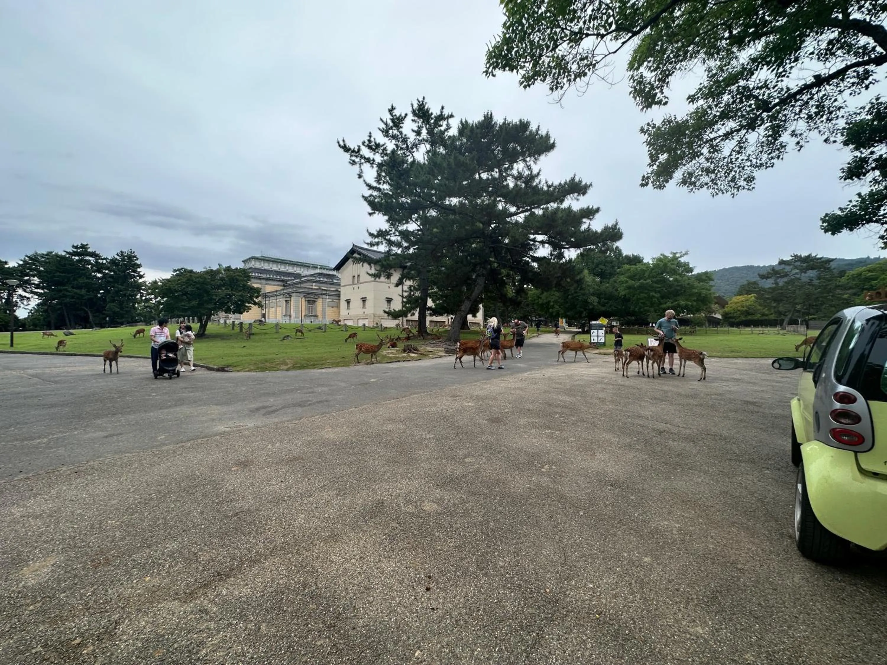 Natural landscape in Ryokan Kousen