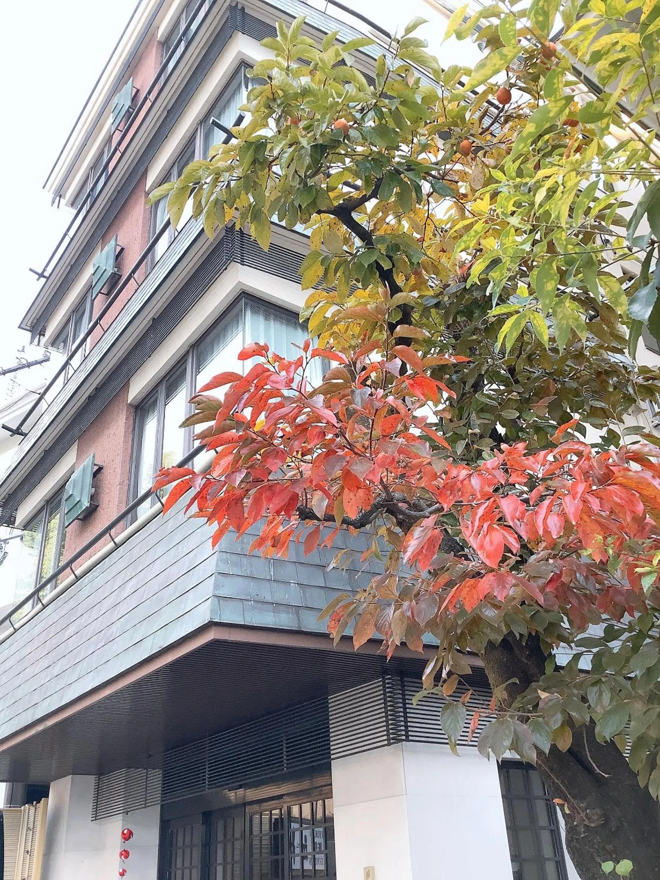 Property building in Ryokan Kousen