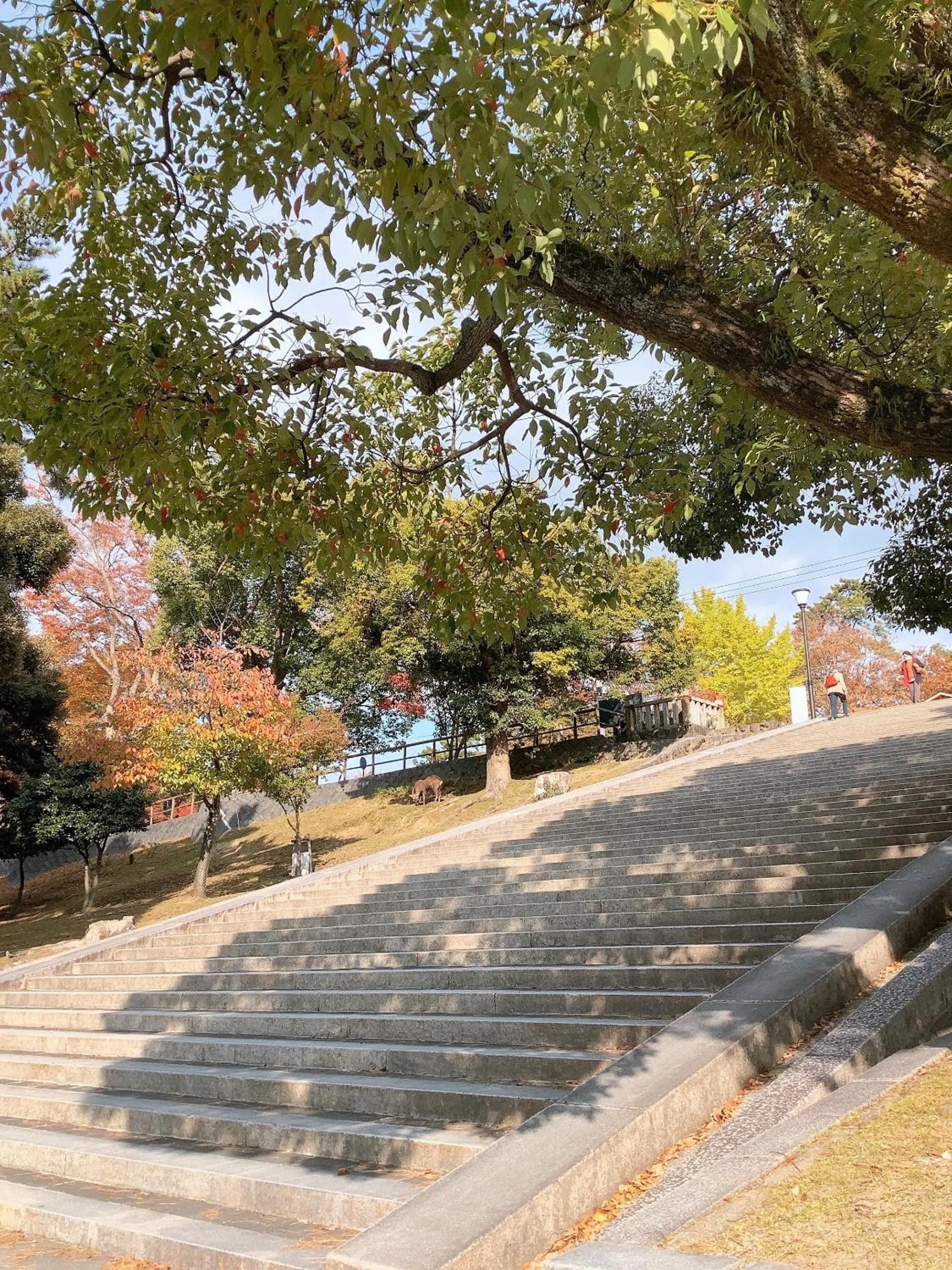 Day in Ryokan Kousen