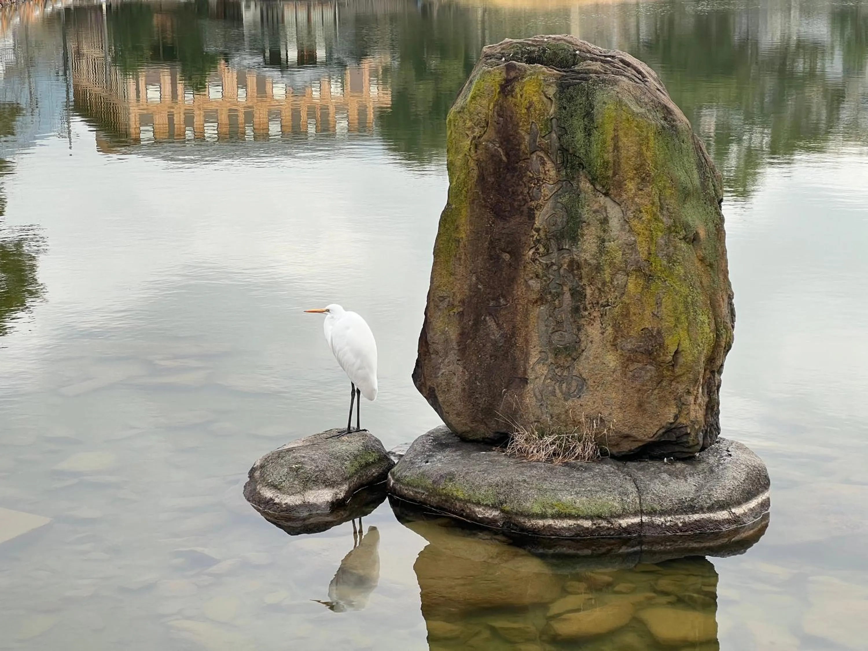Natural landscape in Ryokan Kousen