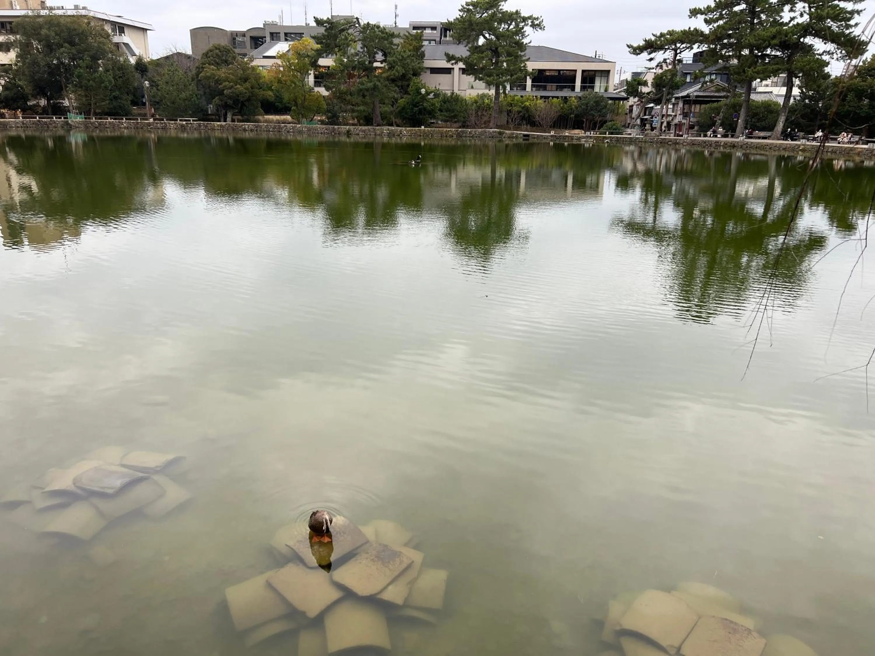 Lake view in Ryokan Kousen