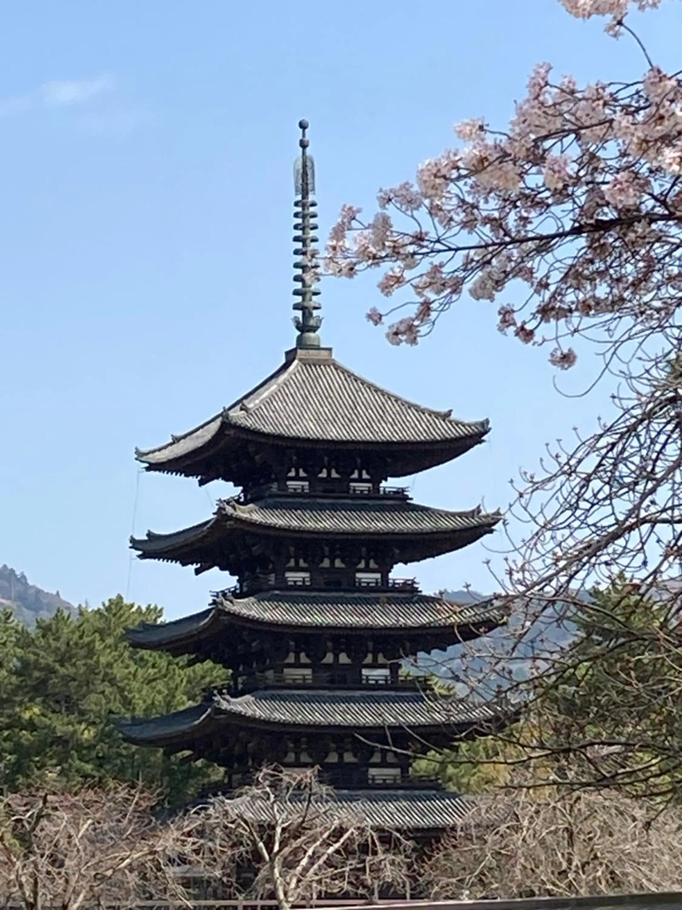 Other in Ryokan Kousen