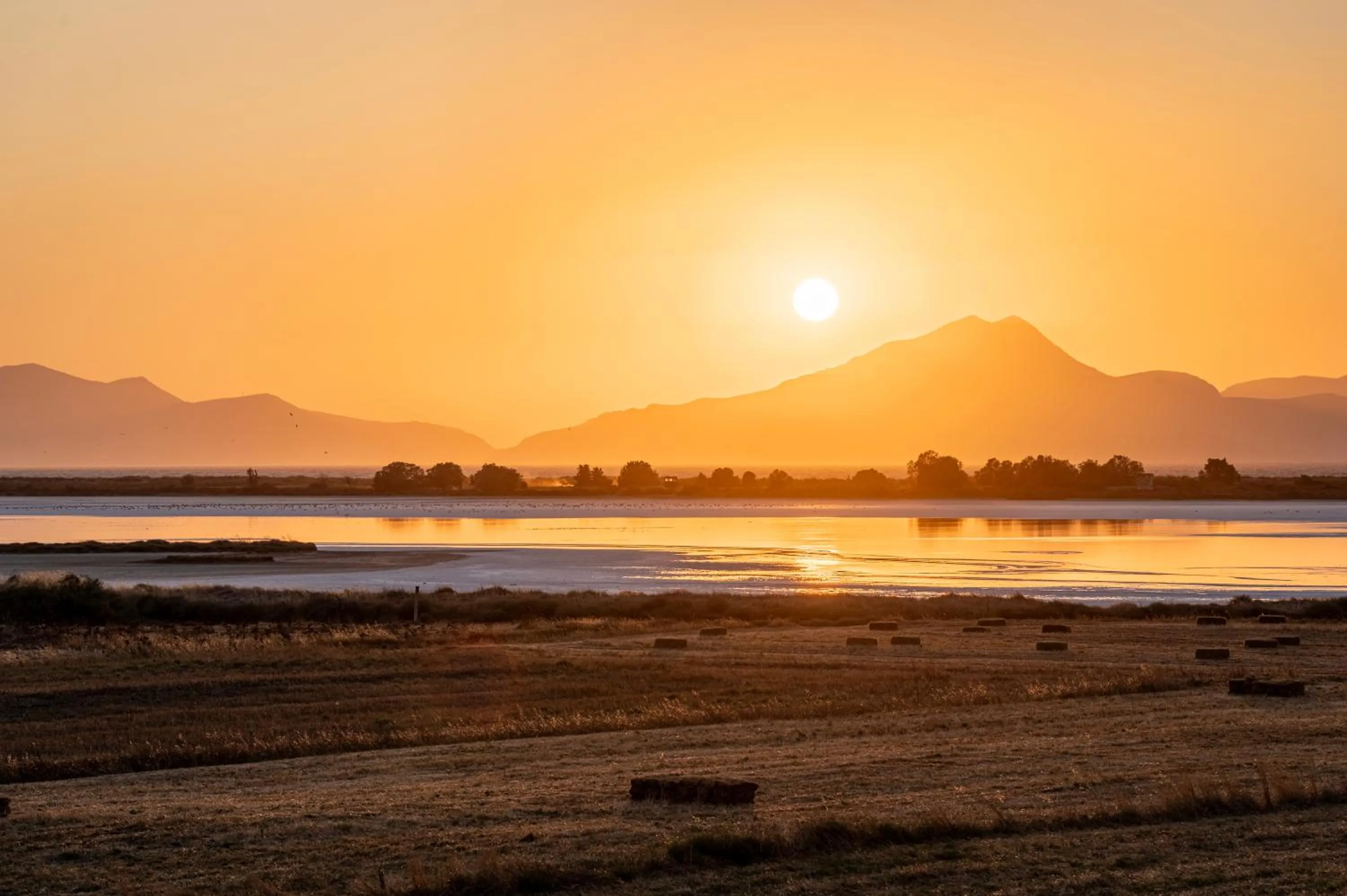 View (from property/room) in Oasis Tigaki