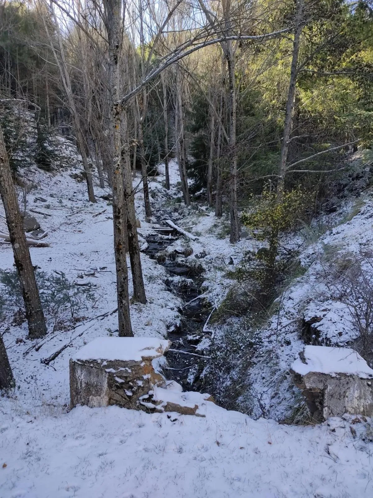 Cycling in LABELLA - Hostal Rural Restaurante