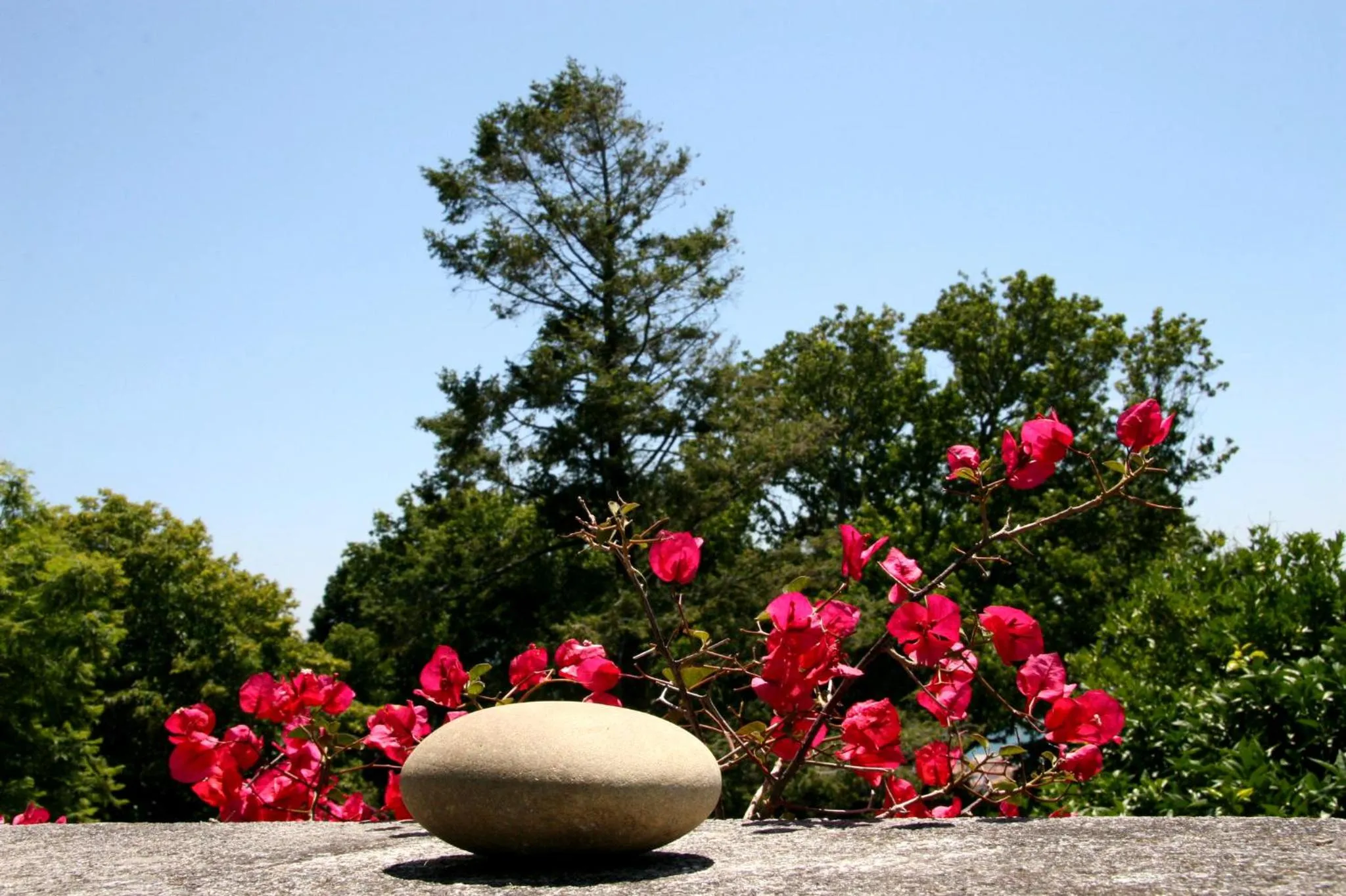 Garden in Quinta de Valverde