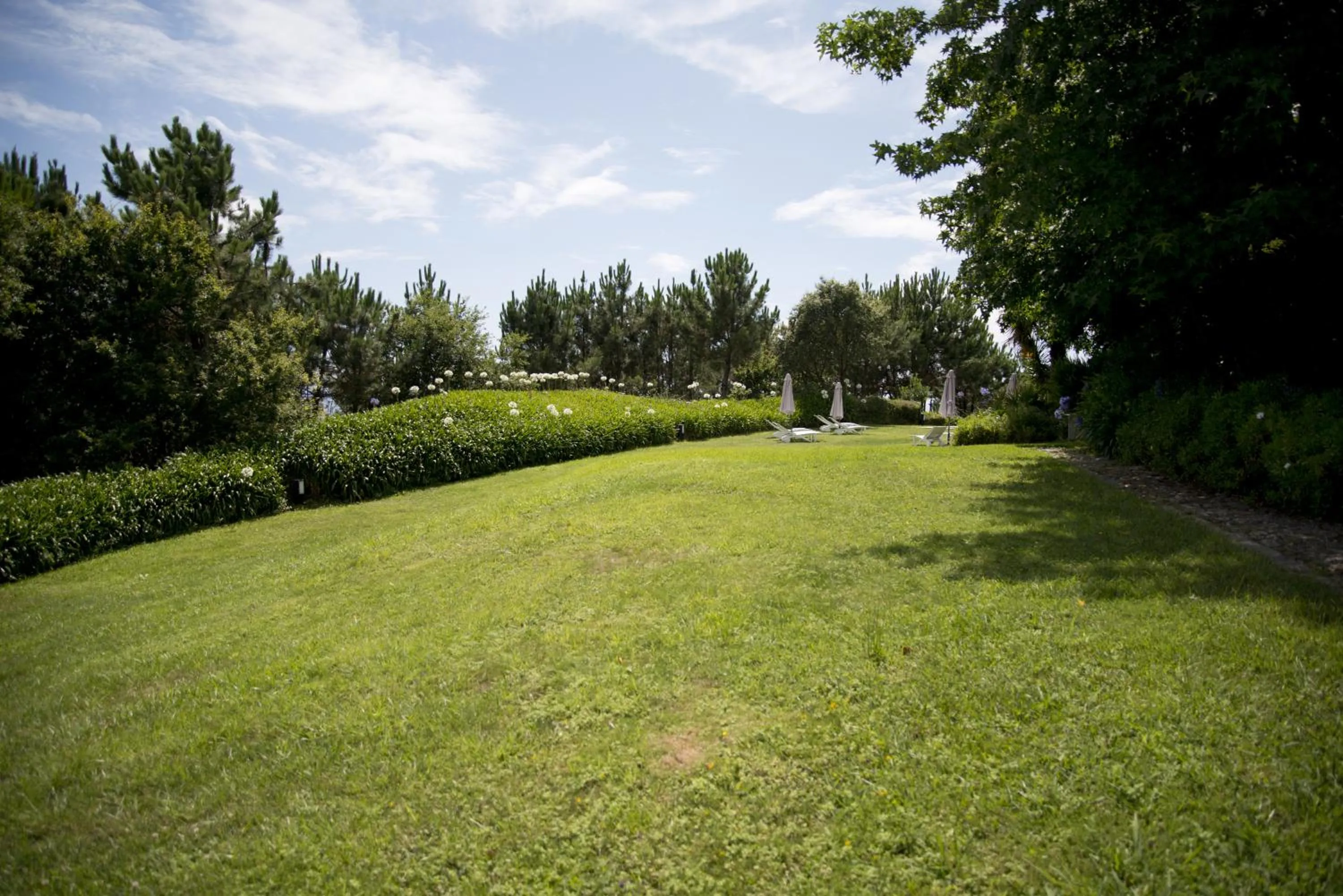 Garden in Quinta de Valverde