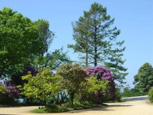 Garden in Quinta de Valverde