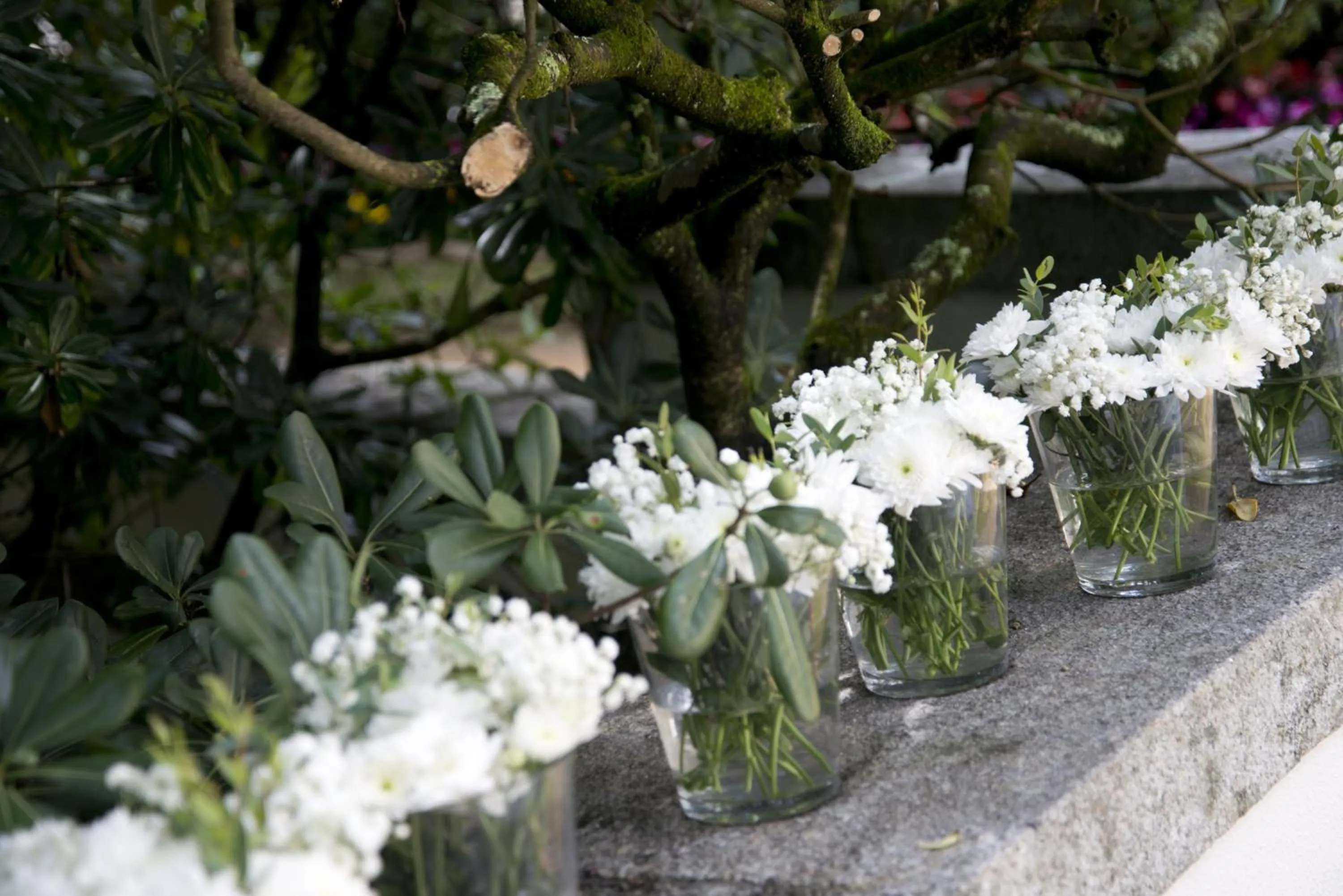 Garden in Quinta de Valverde