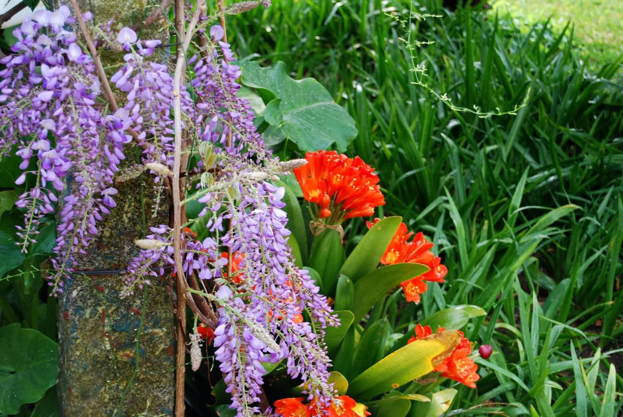 Garden in Quinta de Valverde