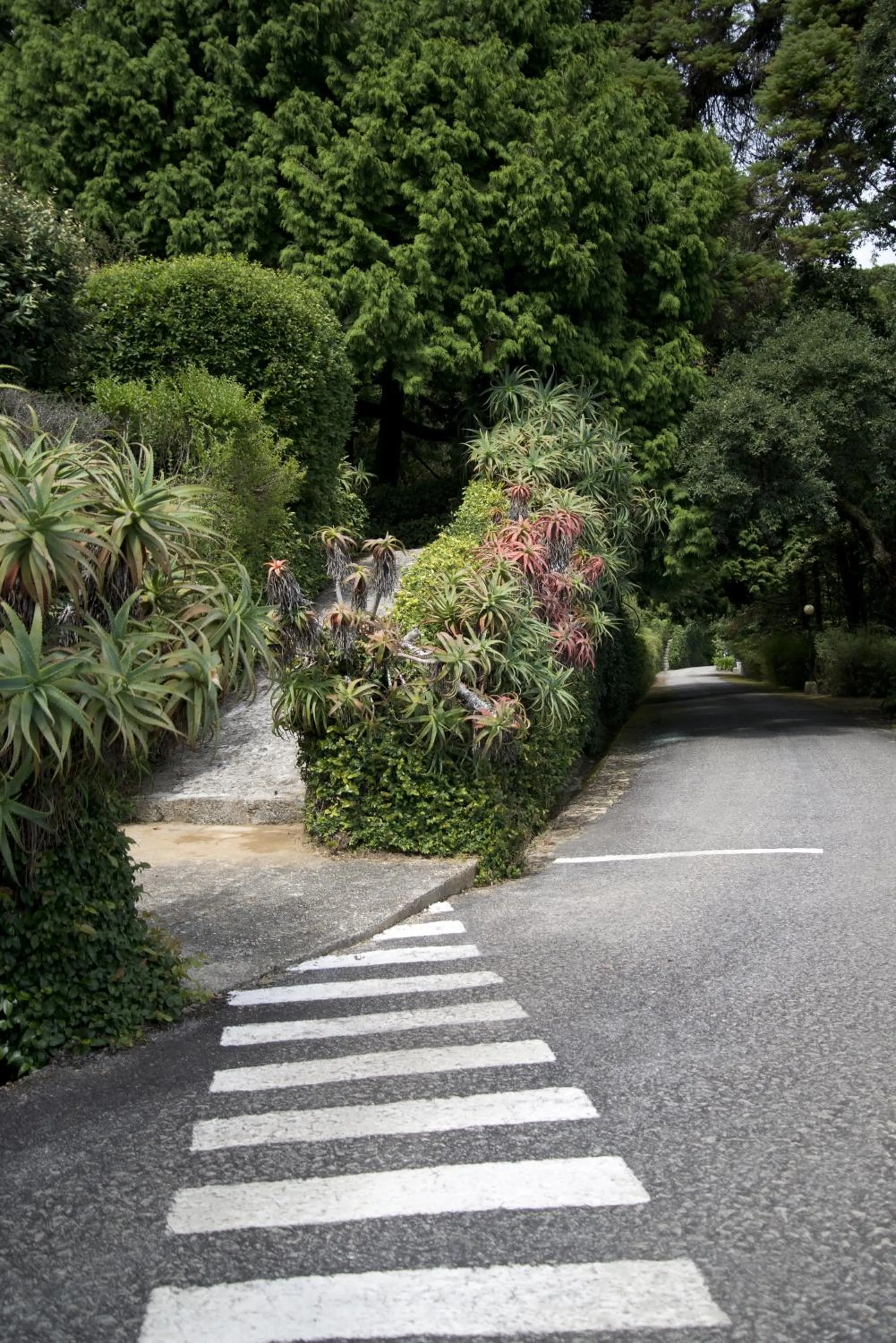 Garden in Quinta de Valverde