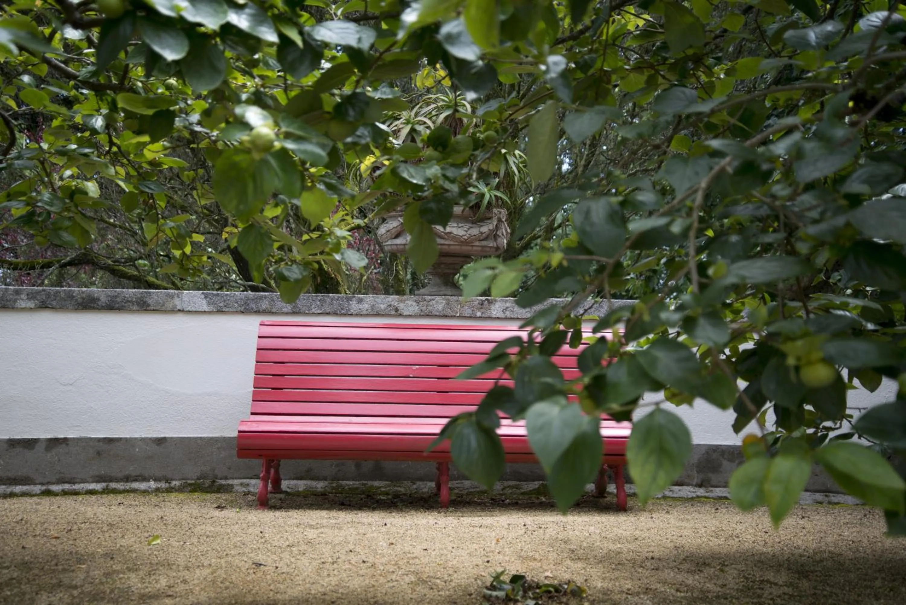 Garden in Quinta de Valverde