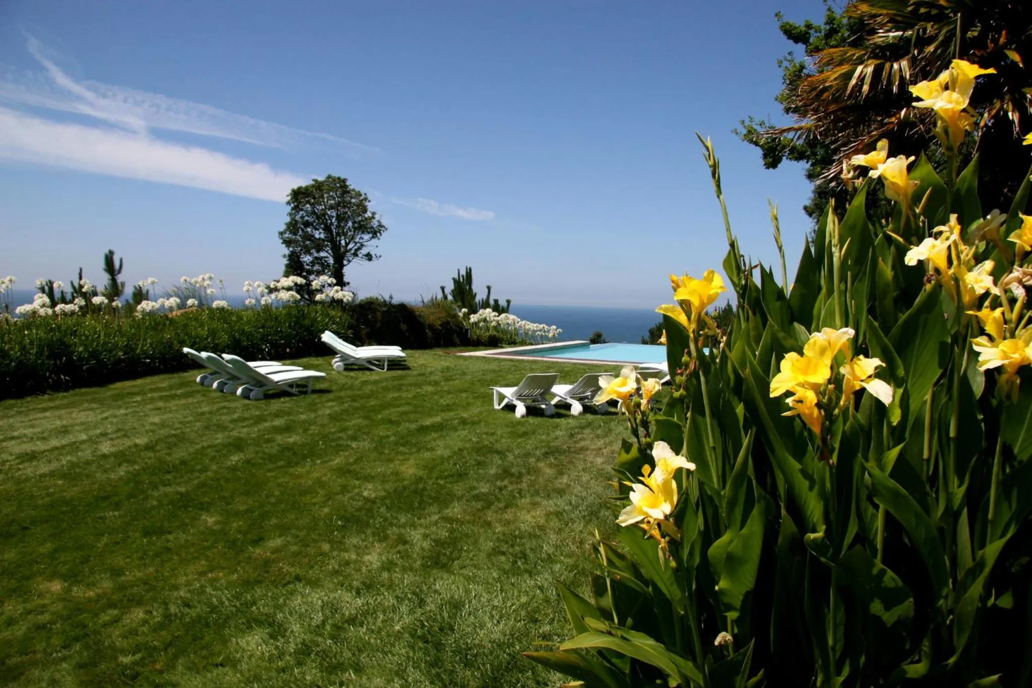 Garden in Quinta de Valverde