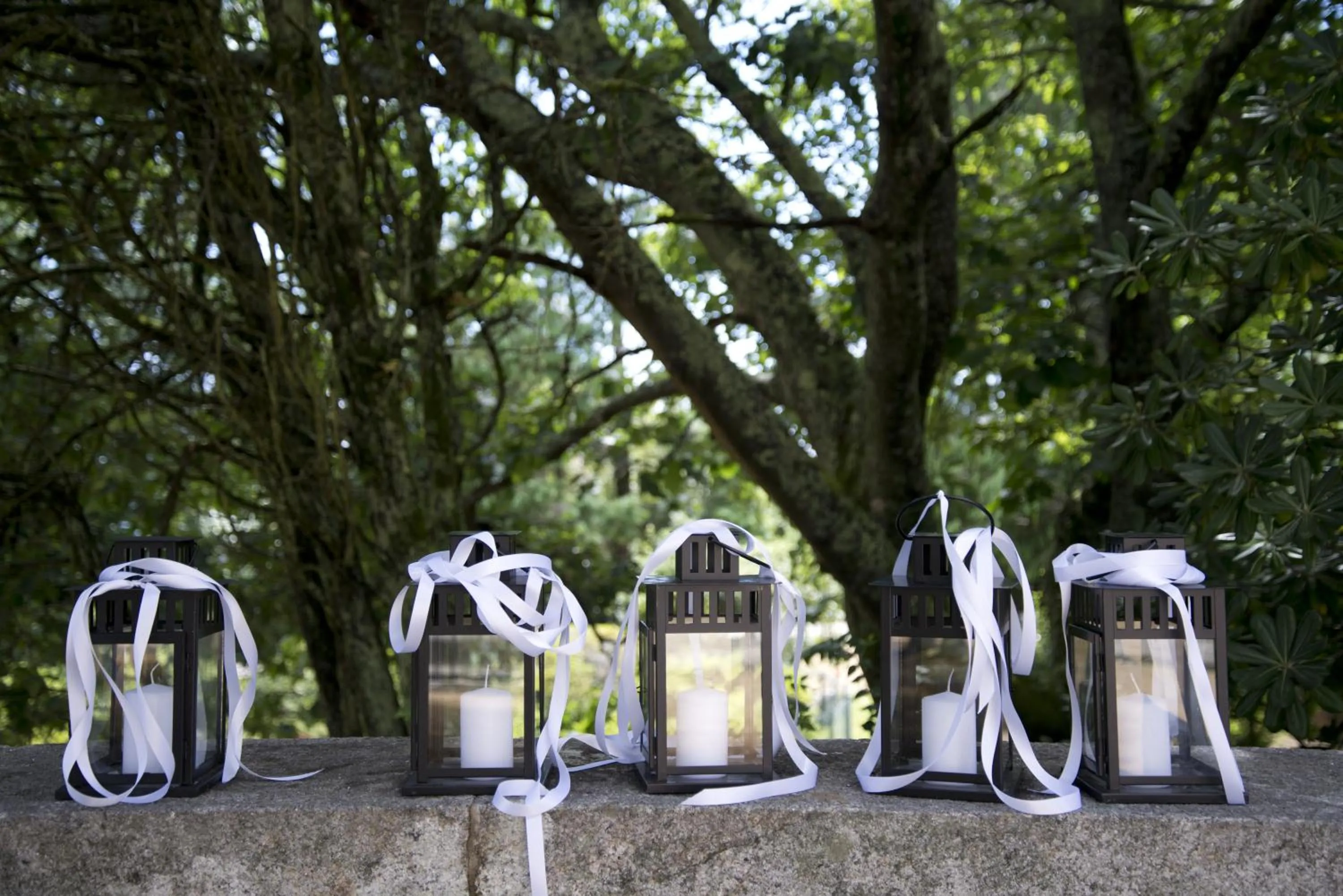 Garden in Quinta de Valverde