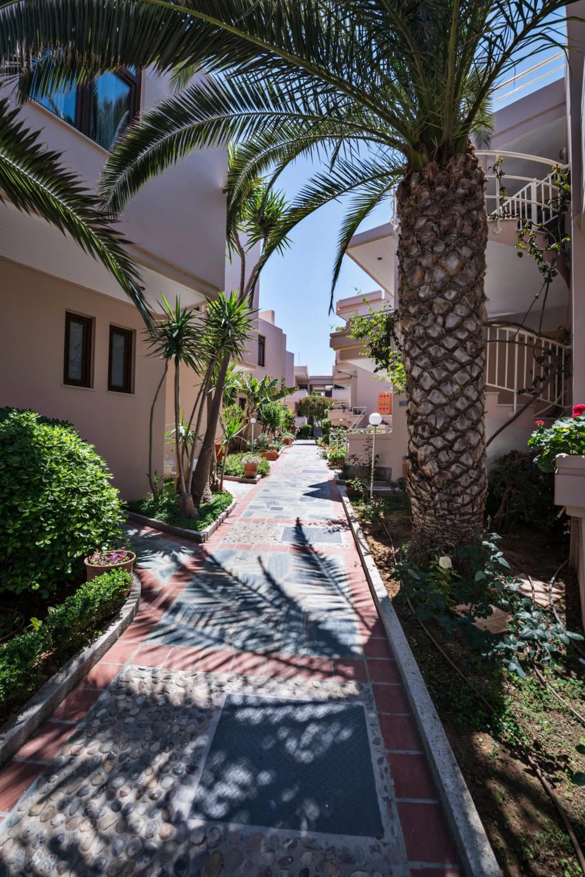 Garden in Oscar Suites & Village