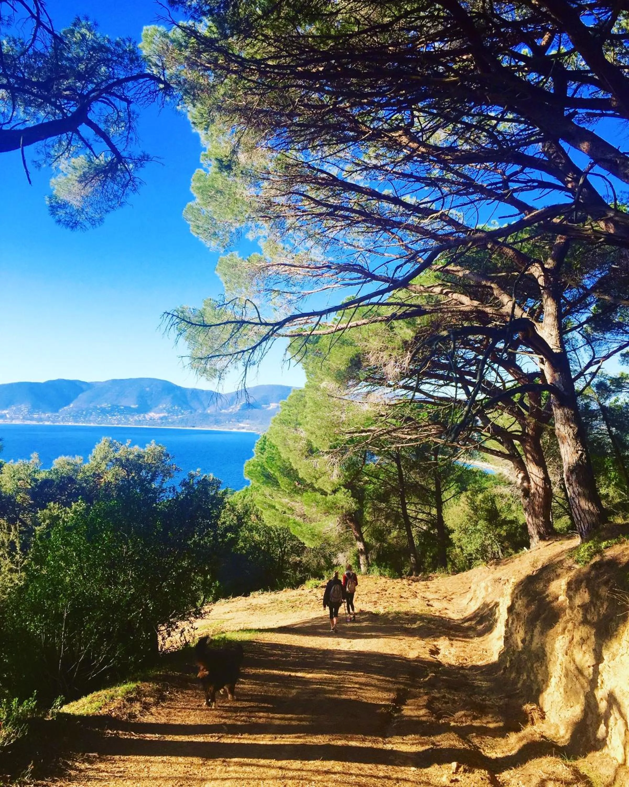 Natural landscape in La Vigne de Ramatuelle
