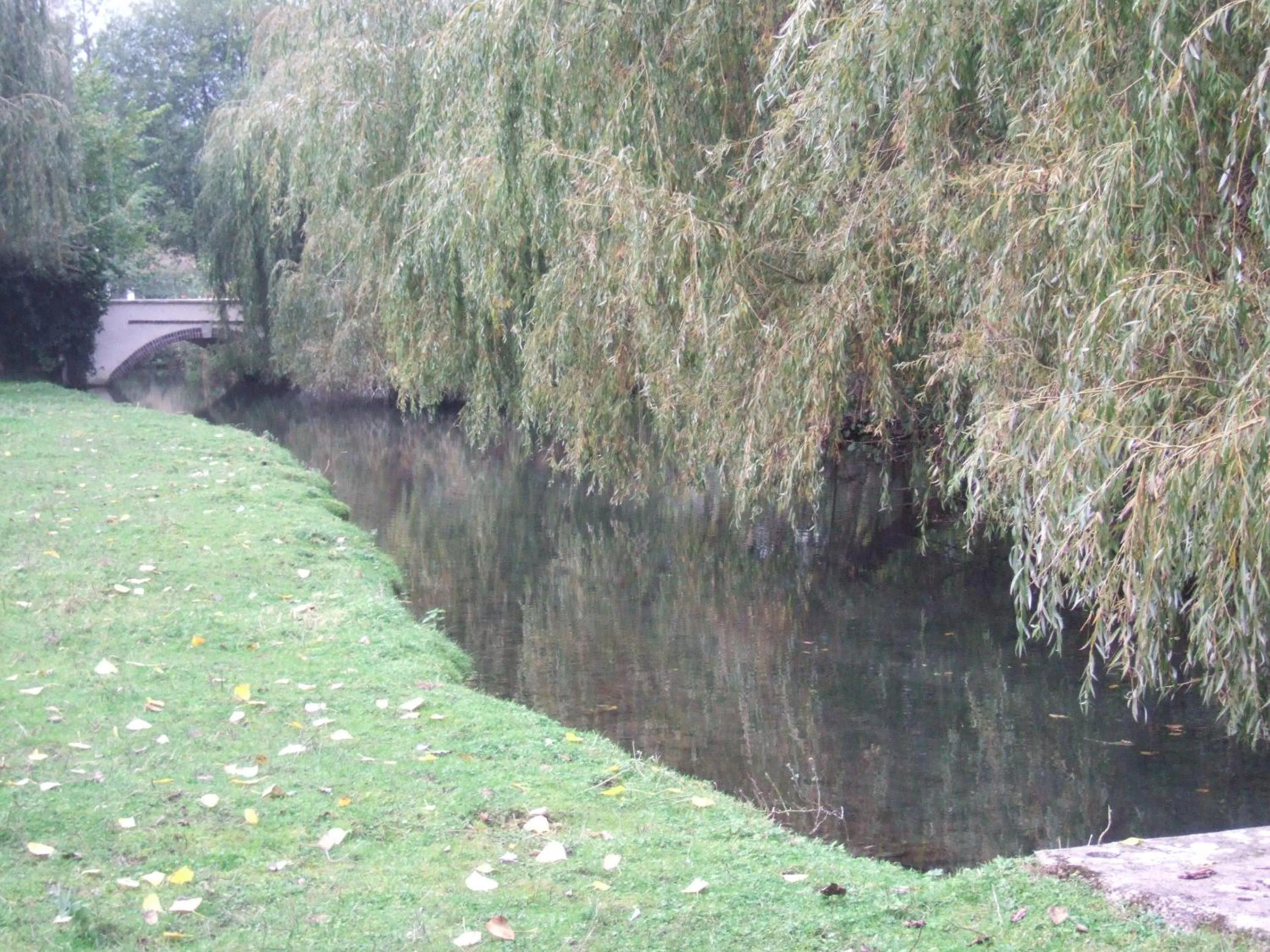 Garden in Gite et Chambres d'Hôtes Clos de Mondetour