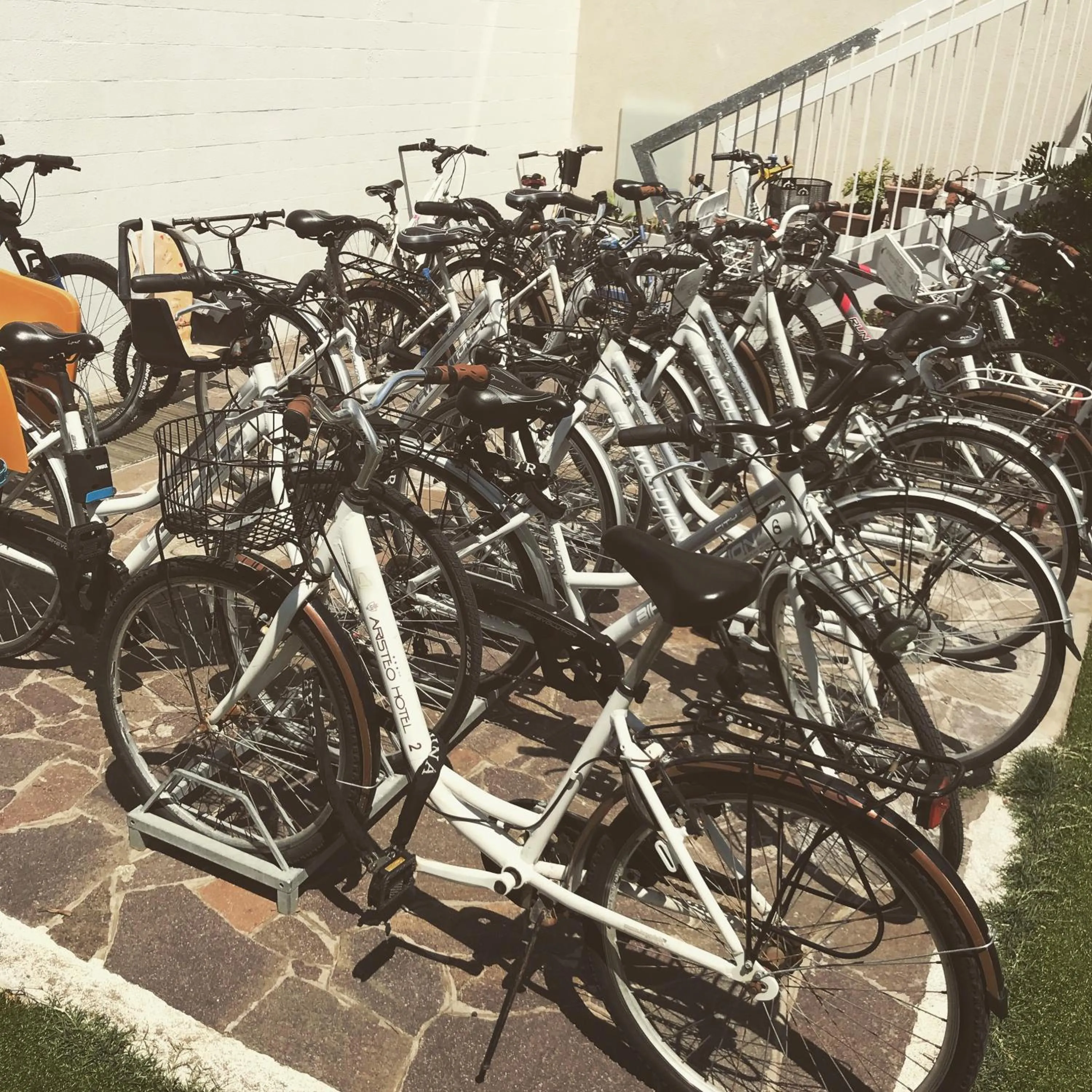 Garden in Hotel Aristeo