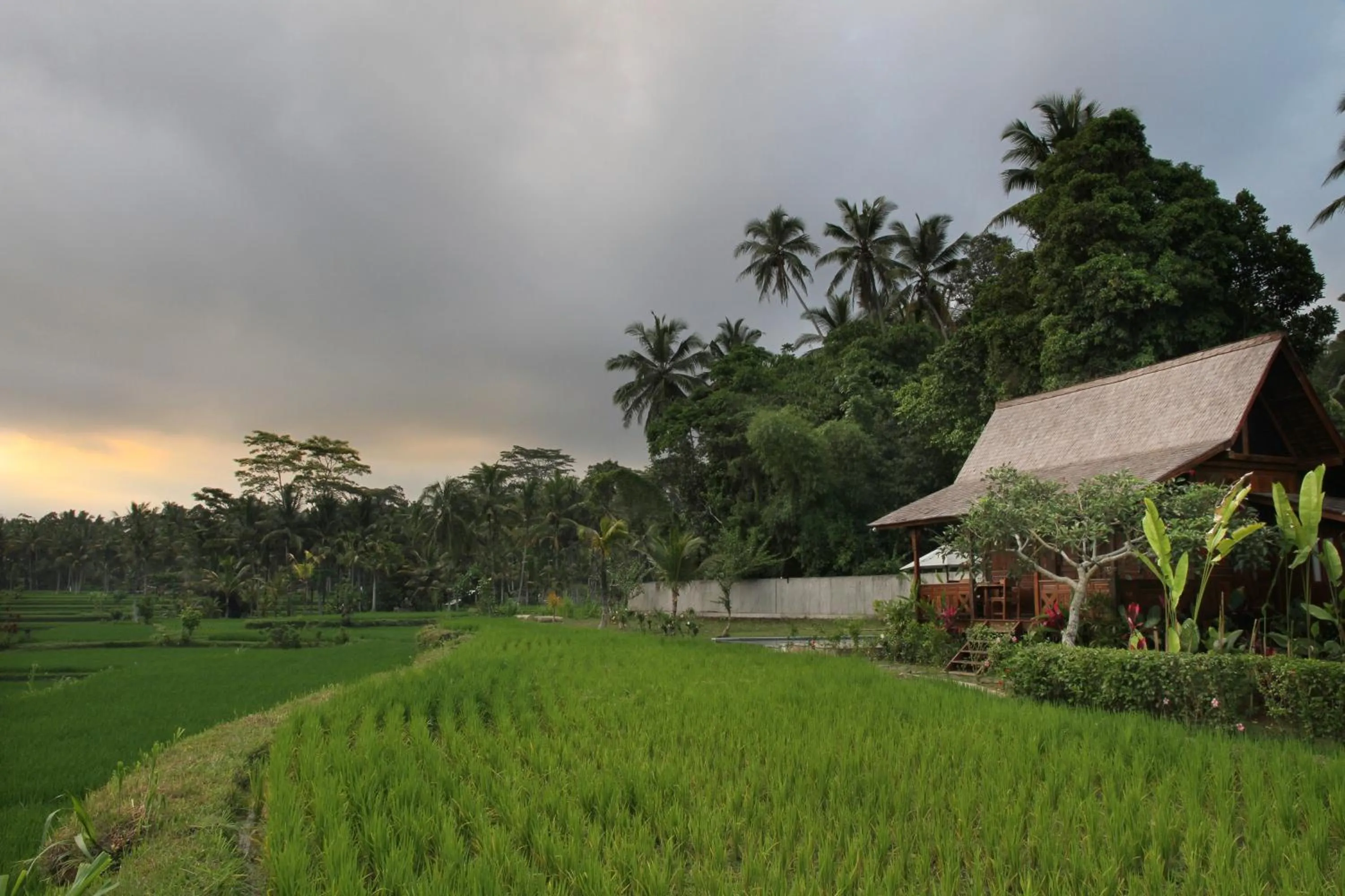 Villa with Private Pool in Benisari Batik Garden Cottage