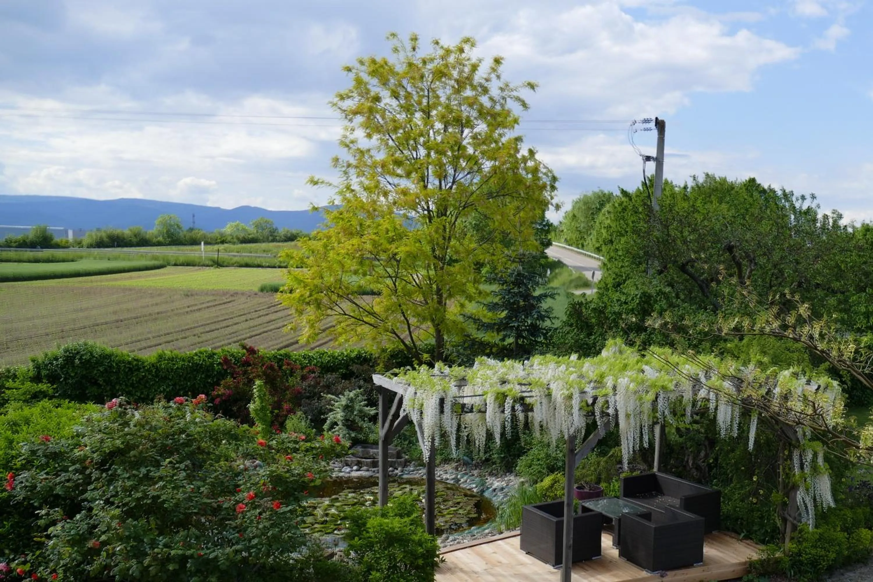 Garden view in Au Relais de l'Ill