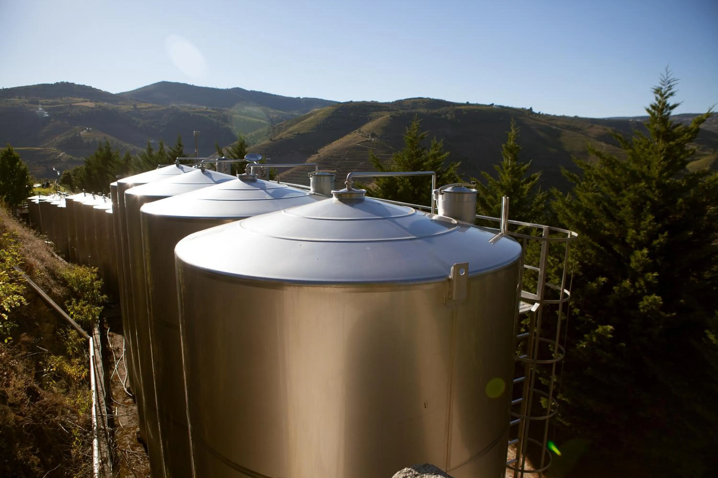 Day in Hotel Rural da Quinta do Silval