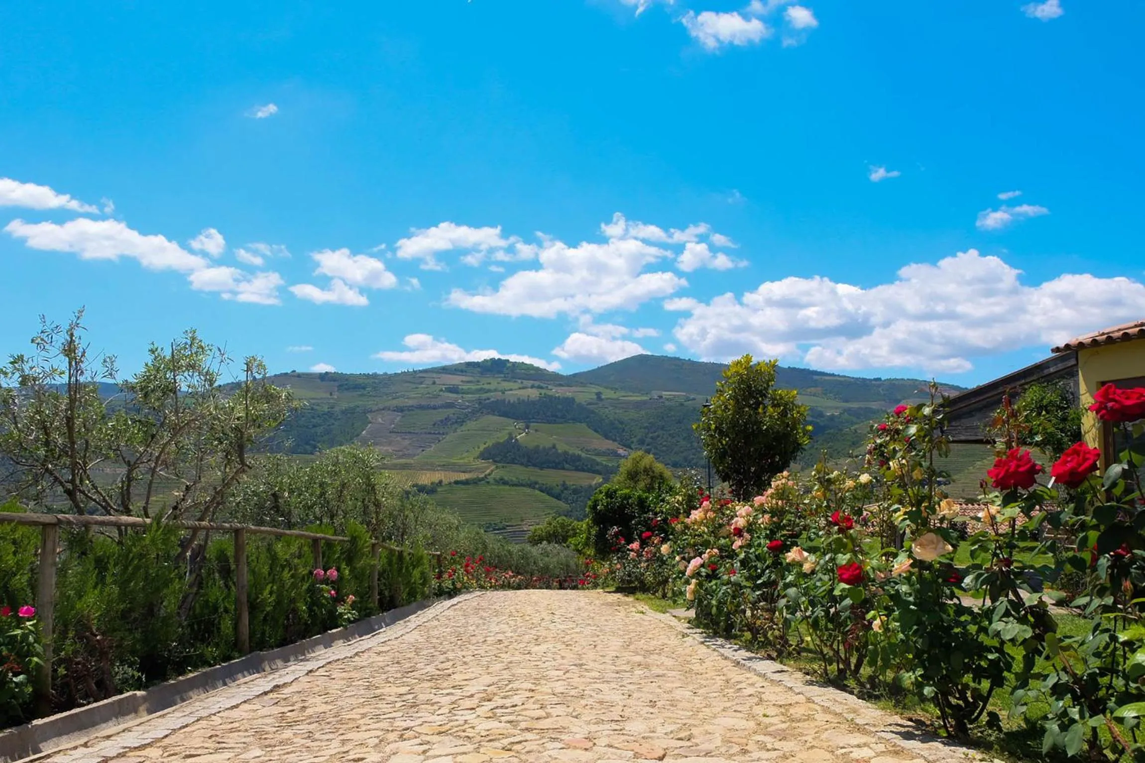 Day in Hotel Rural da Quinta do Silval