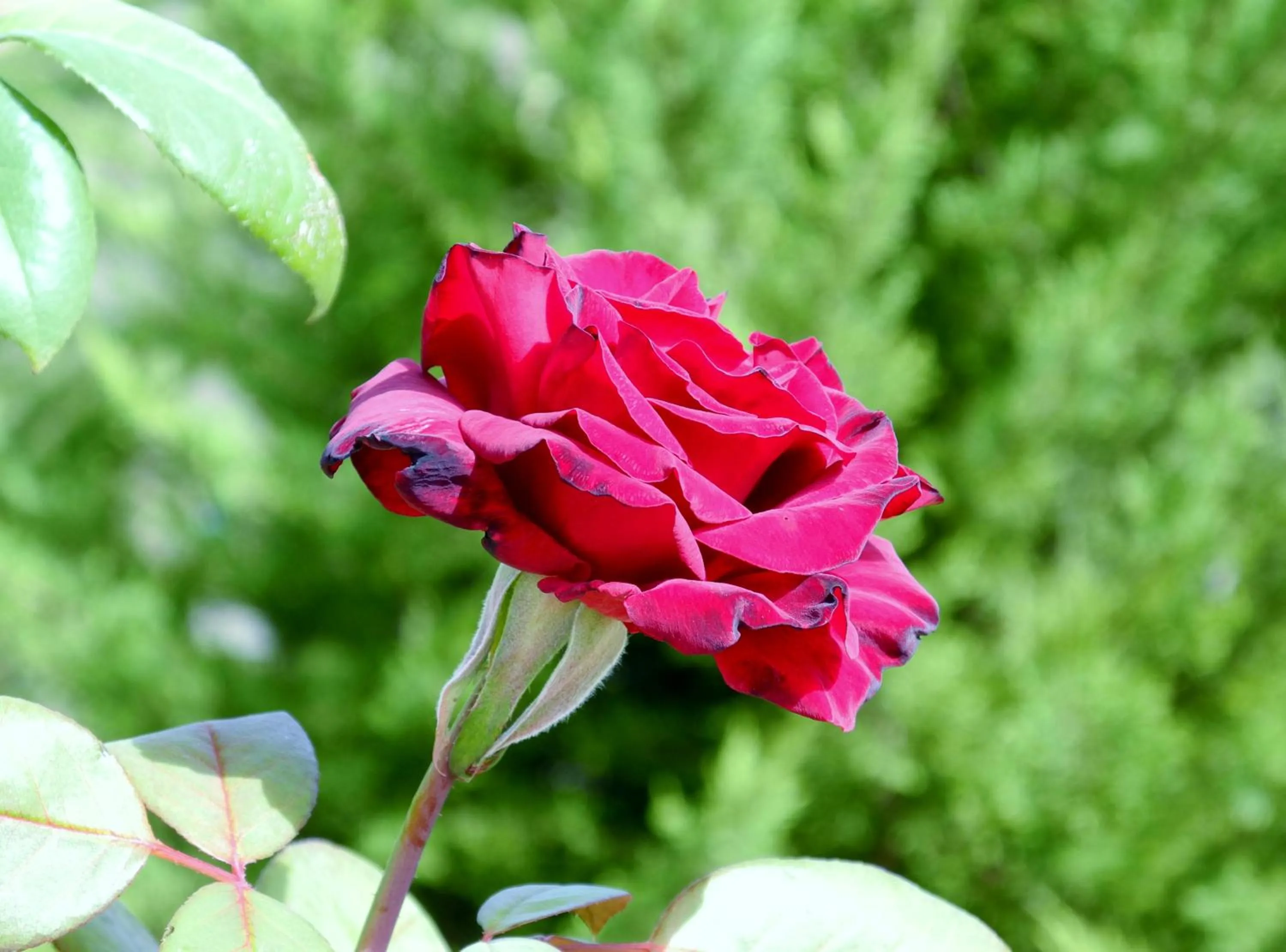 Spring in Hotel Rural da Quinta do Silval