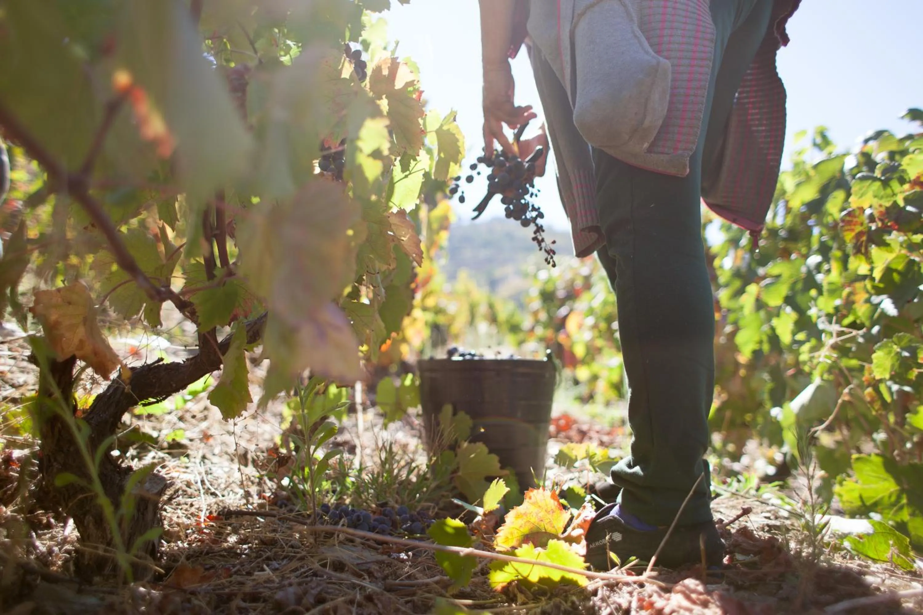 Other in Hotel Rural da Quinta do Silval