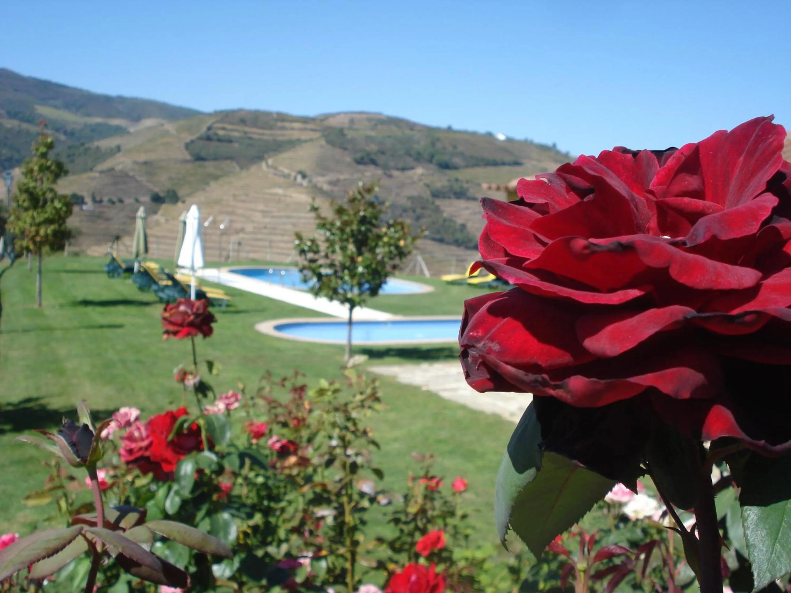 Pool view in Hotel Rural da Quinta do Silval