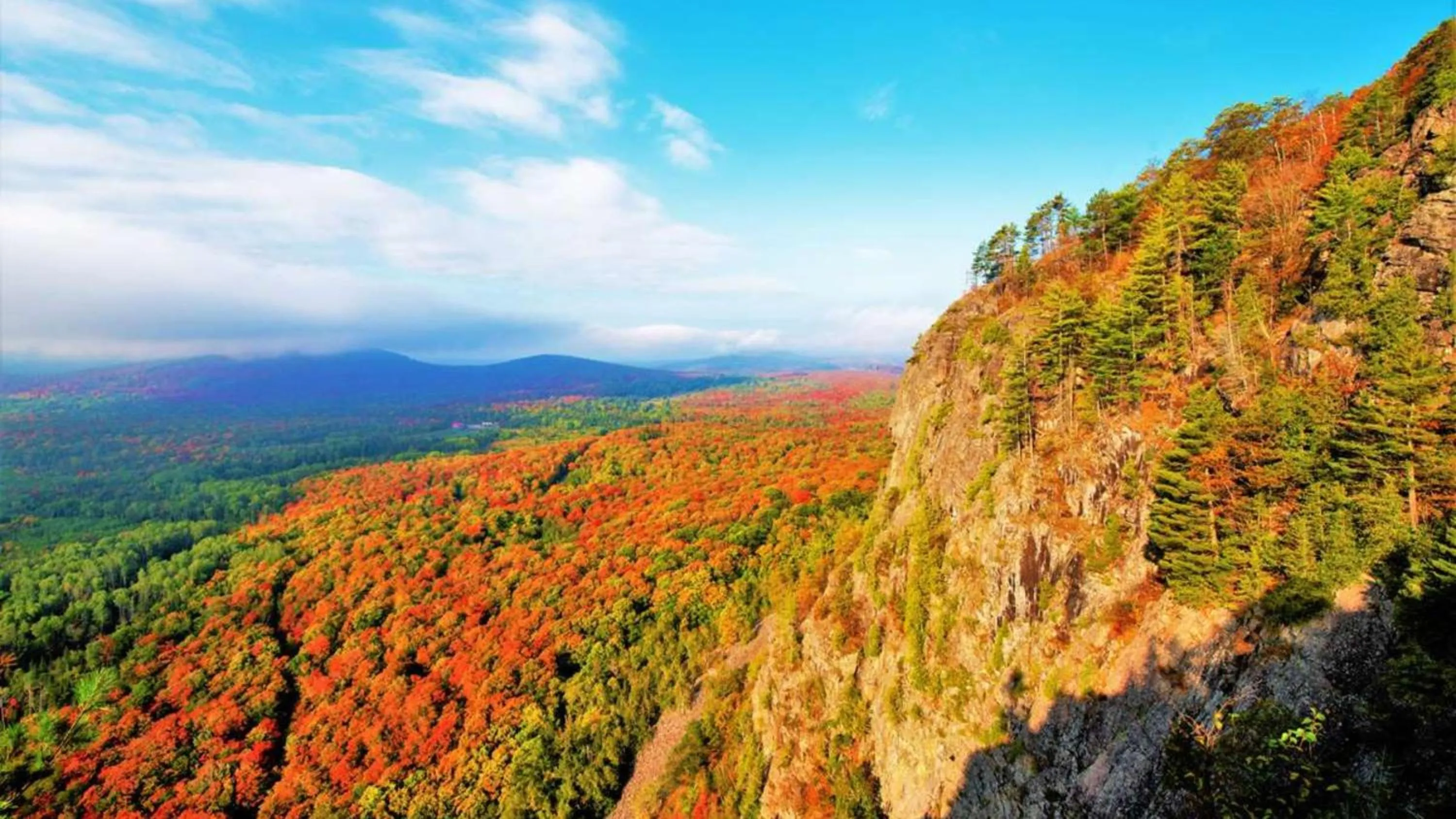 Area and facilities in Holiday Inn Express - Sault Ste. Marie by IHG