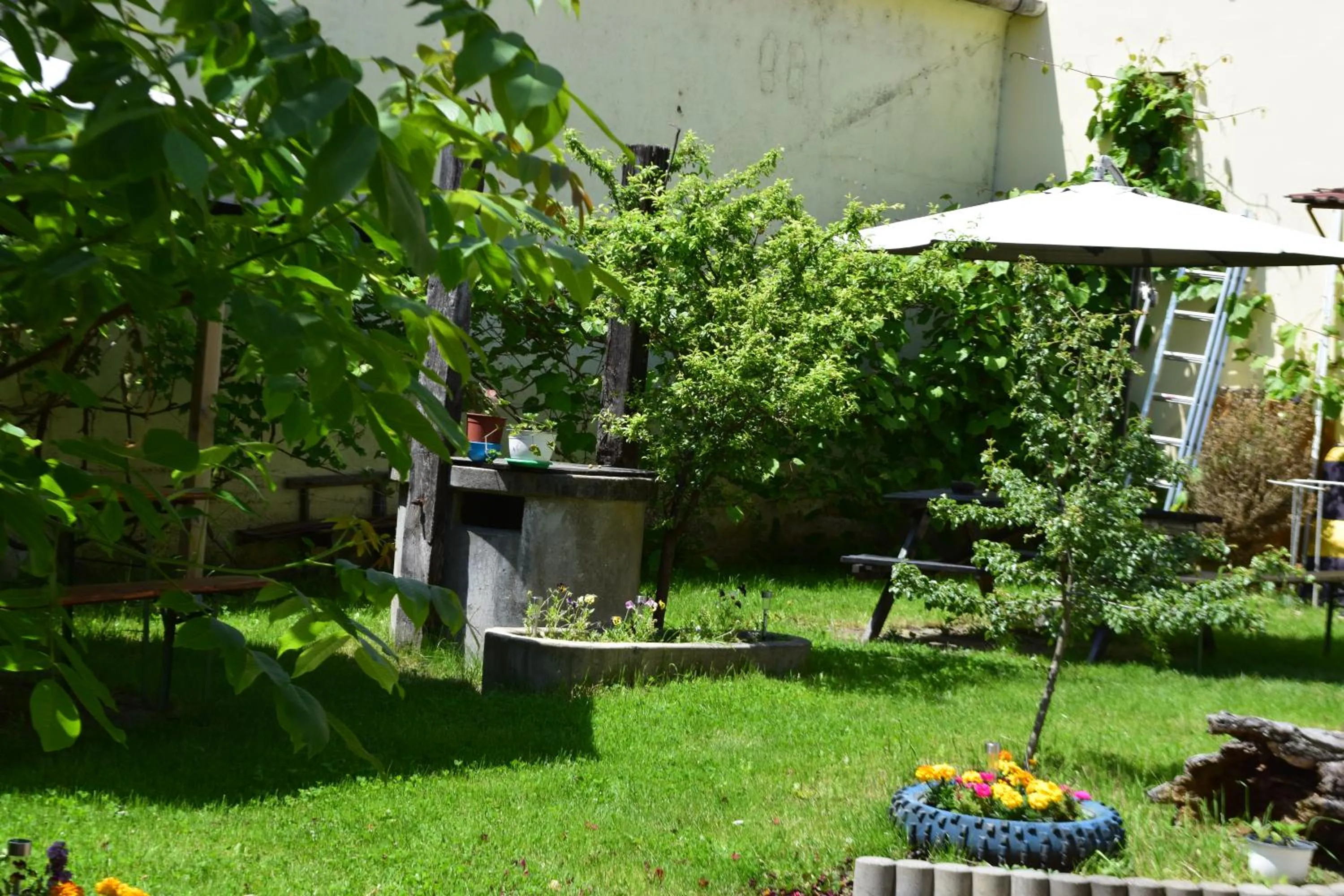 Natural landscape in Pension GreenHouse