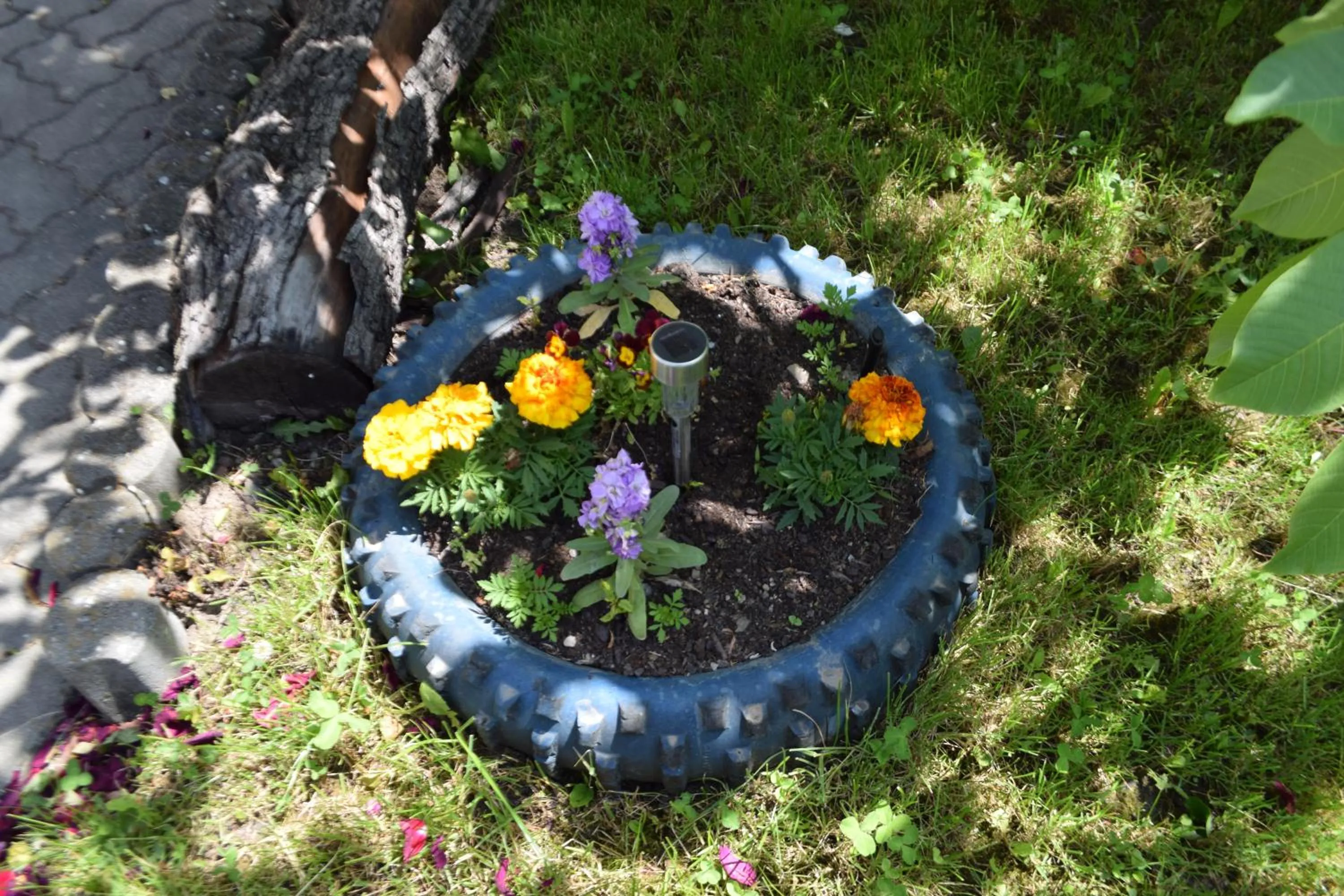 Bird's eye view in Pension GreenHouse